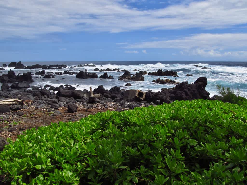 Laupahoehoe Beach Park