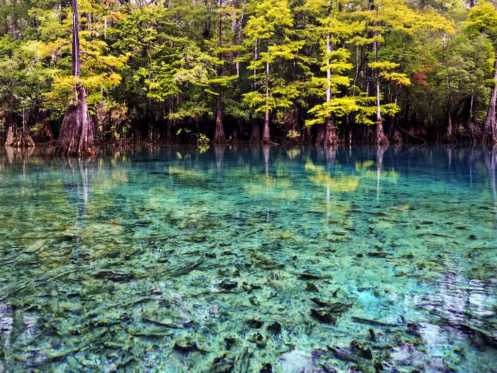 Morrison Springs County Park