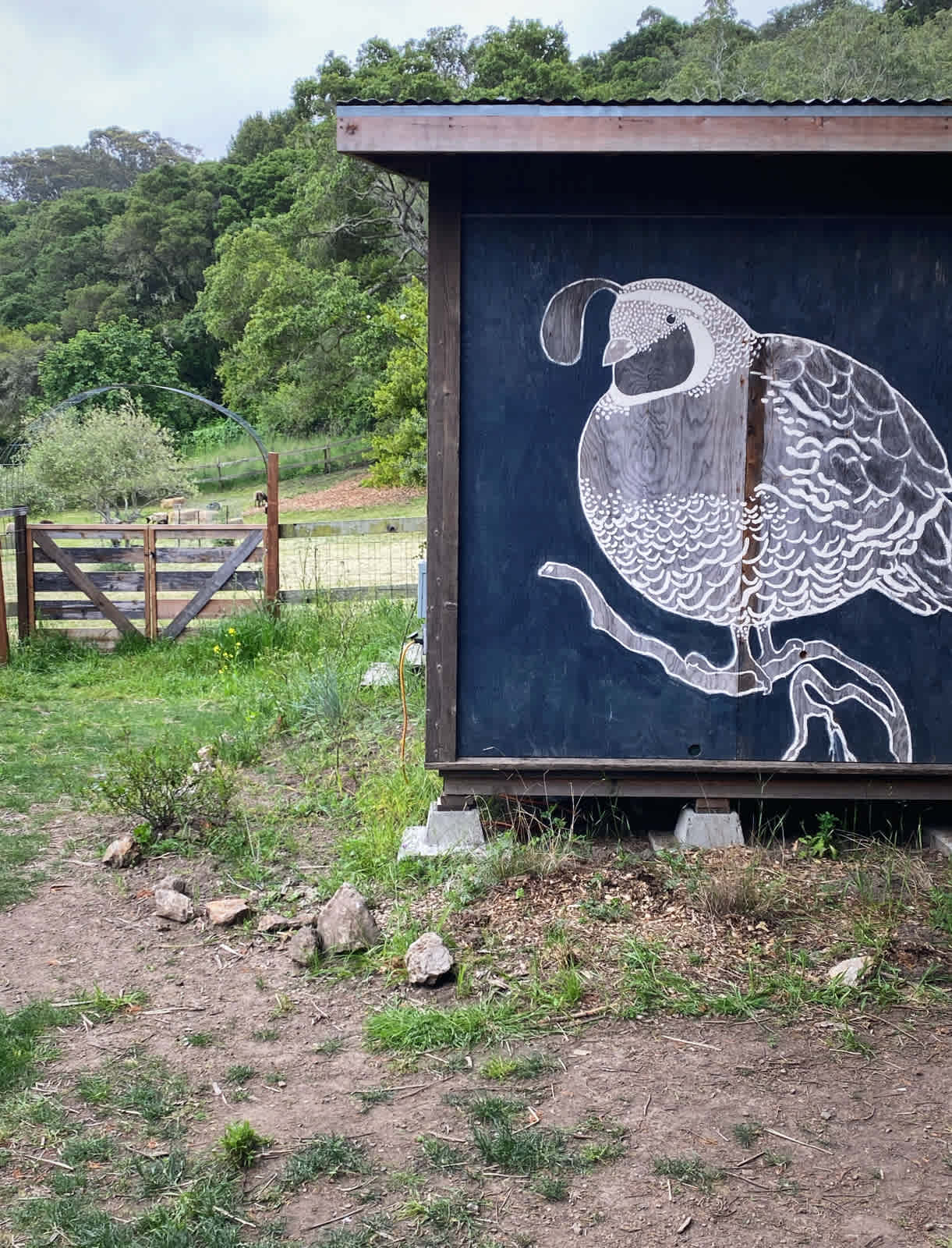 Blackberry Farm