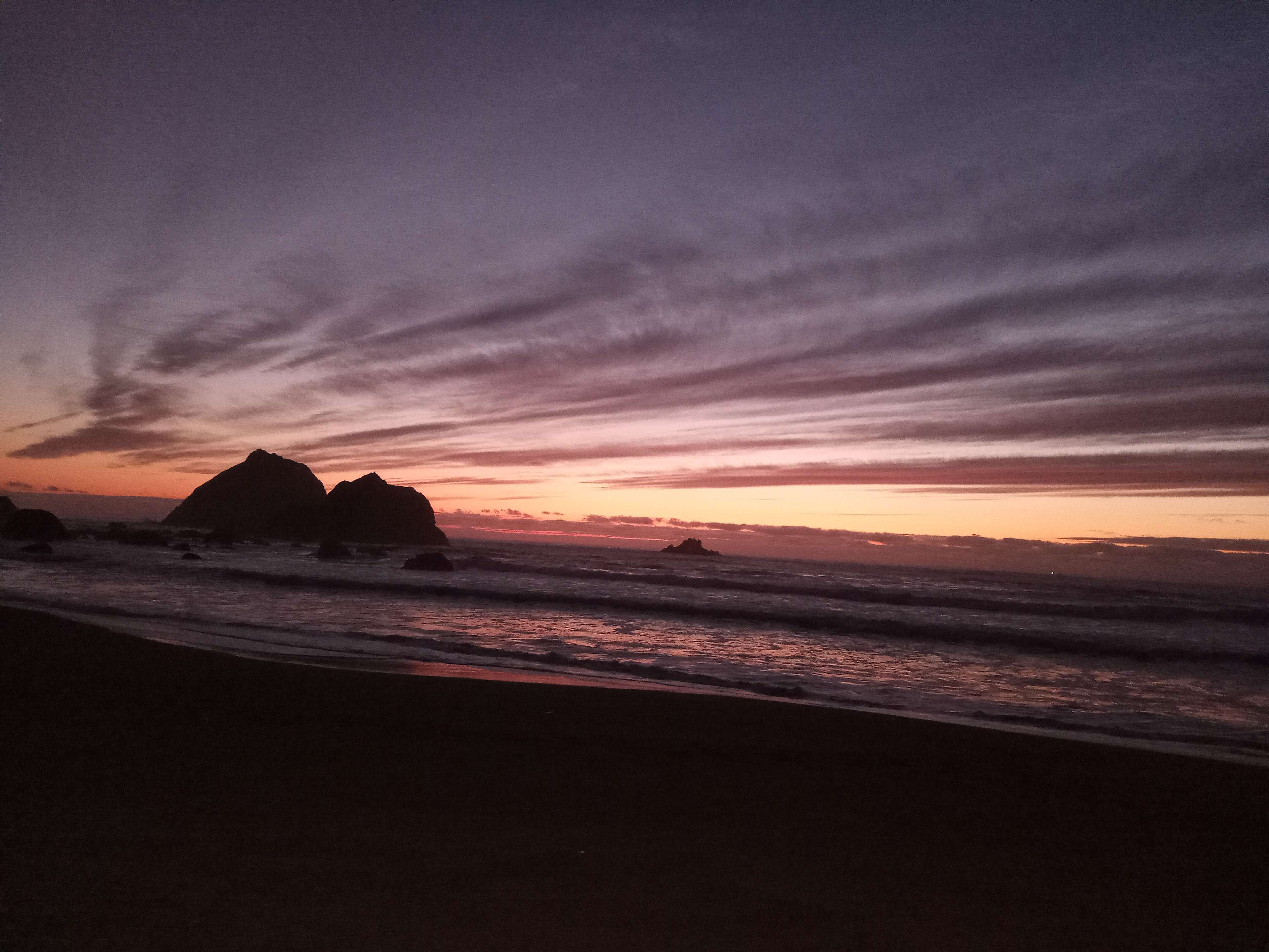 Woods, Waves & Wags/Hipcamp