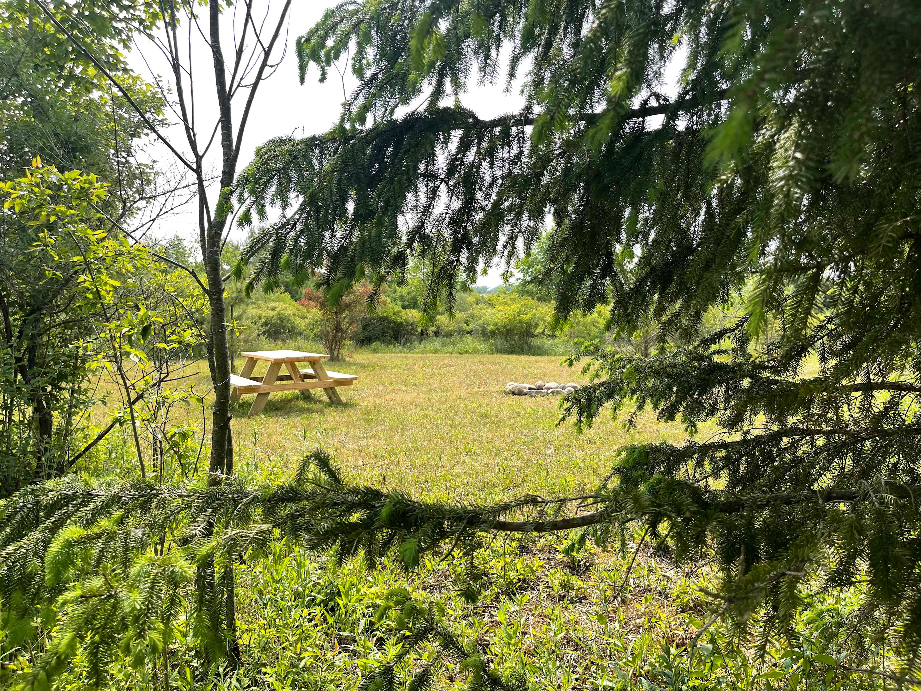The Secluded Spruces site, tucked behind a row of spruce trees.