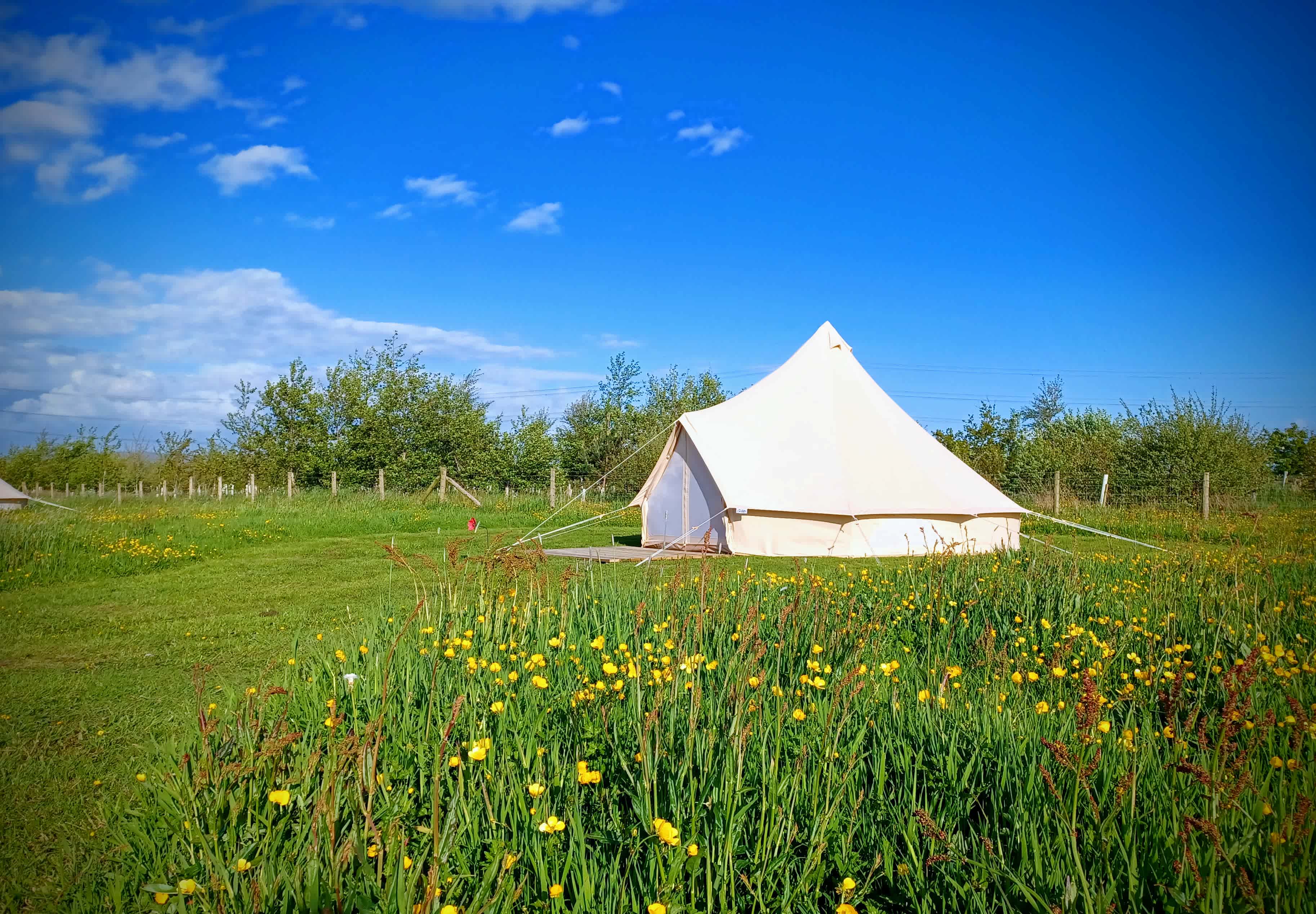 Moss Rose Campsite