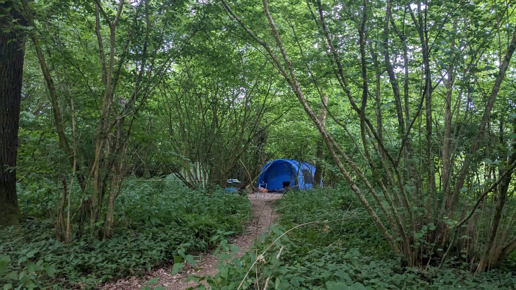 Our pitch