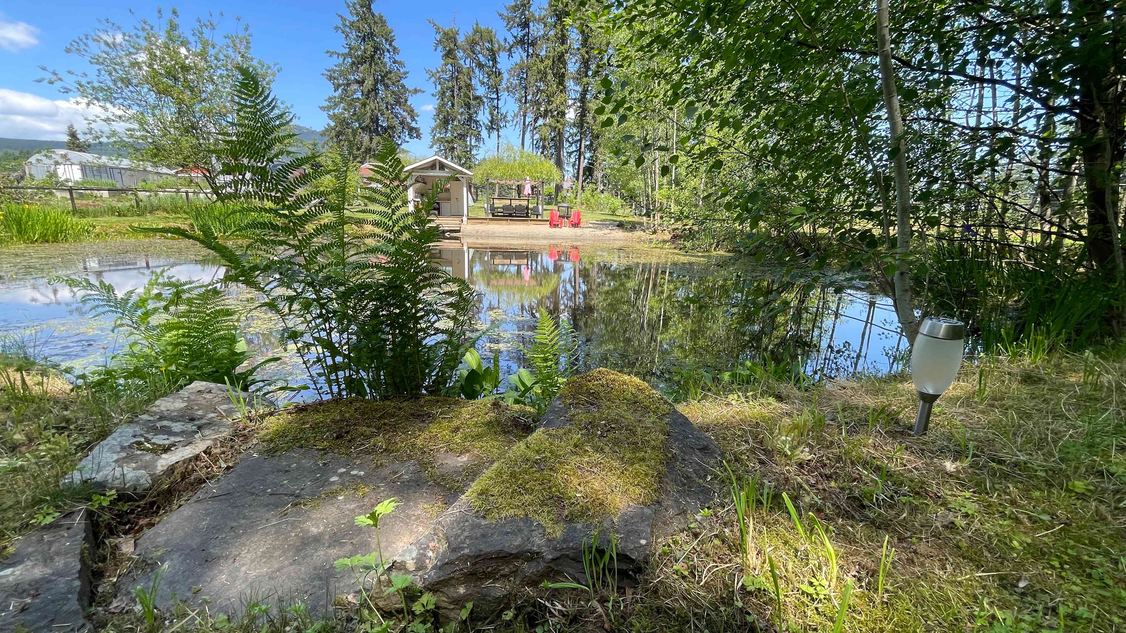 View from South side of pond