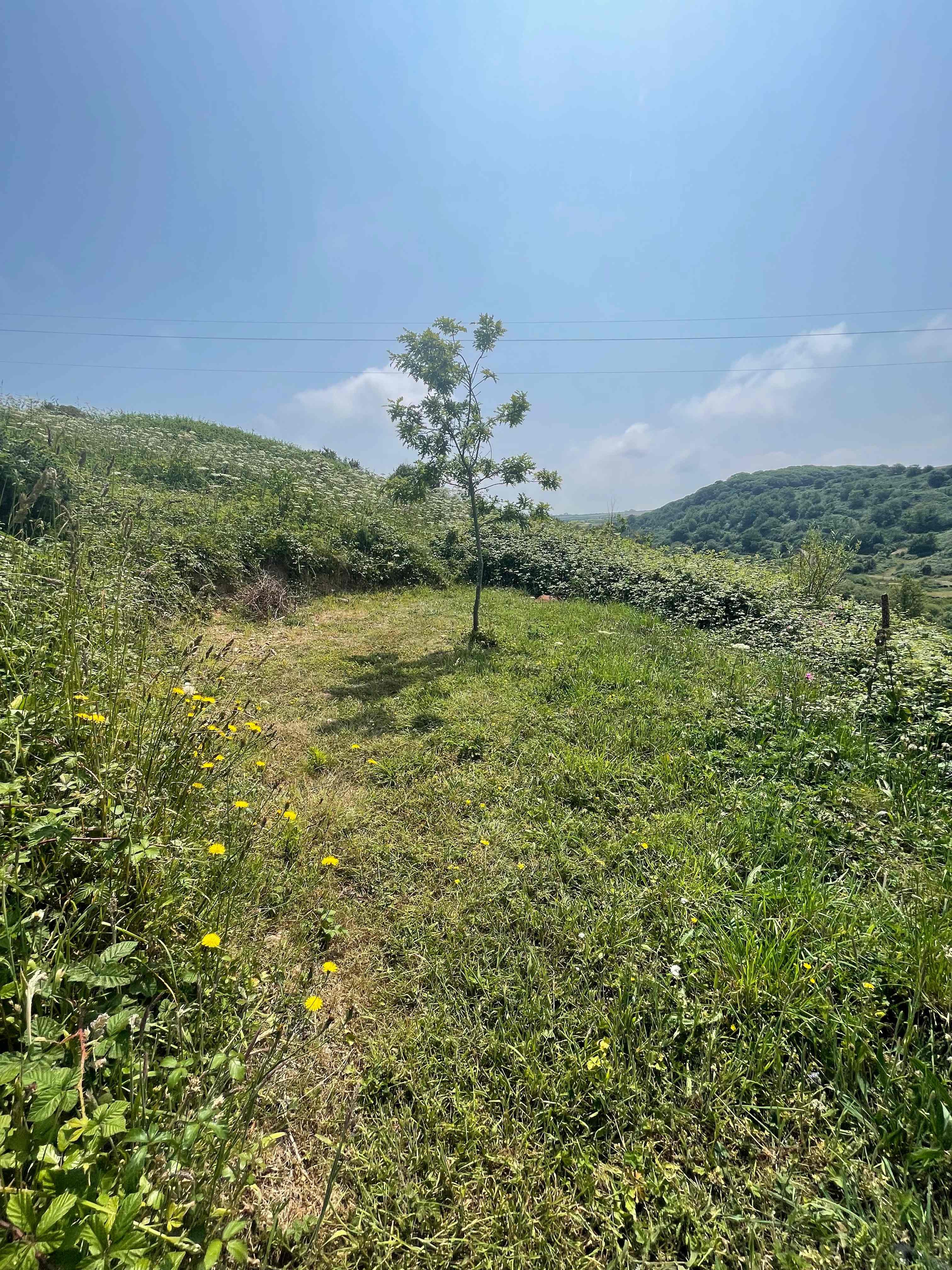 Ro Dama Community Farm
