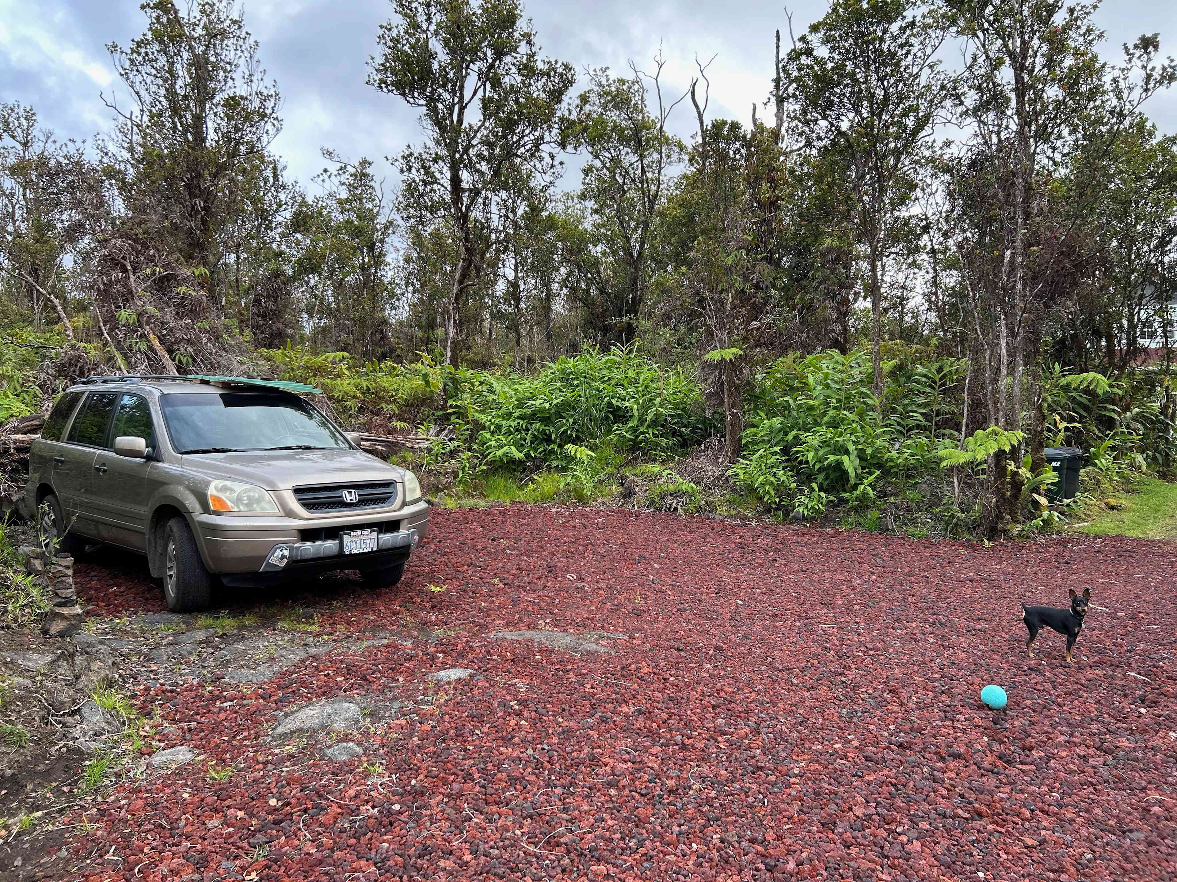 Yip Camp and Eco-Retreat Center