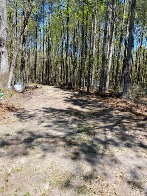 Slight pitch, 45x20 spot