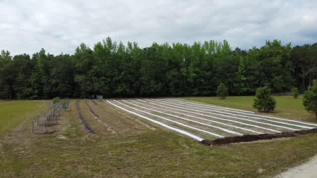 Agape Farm South