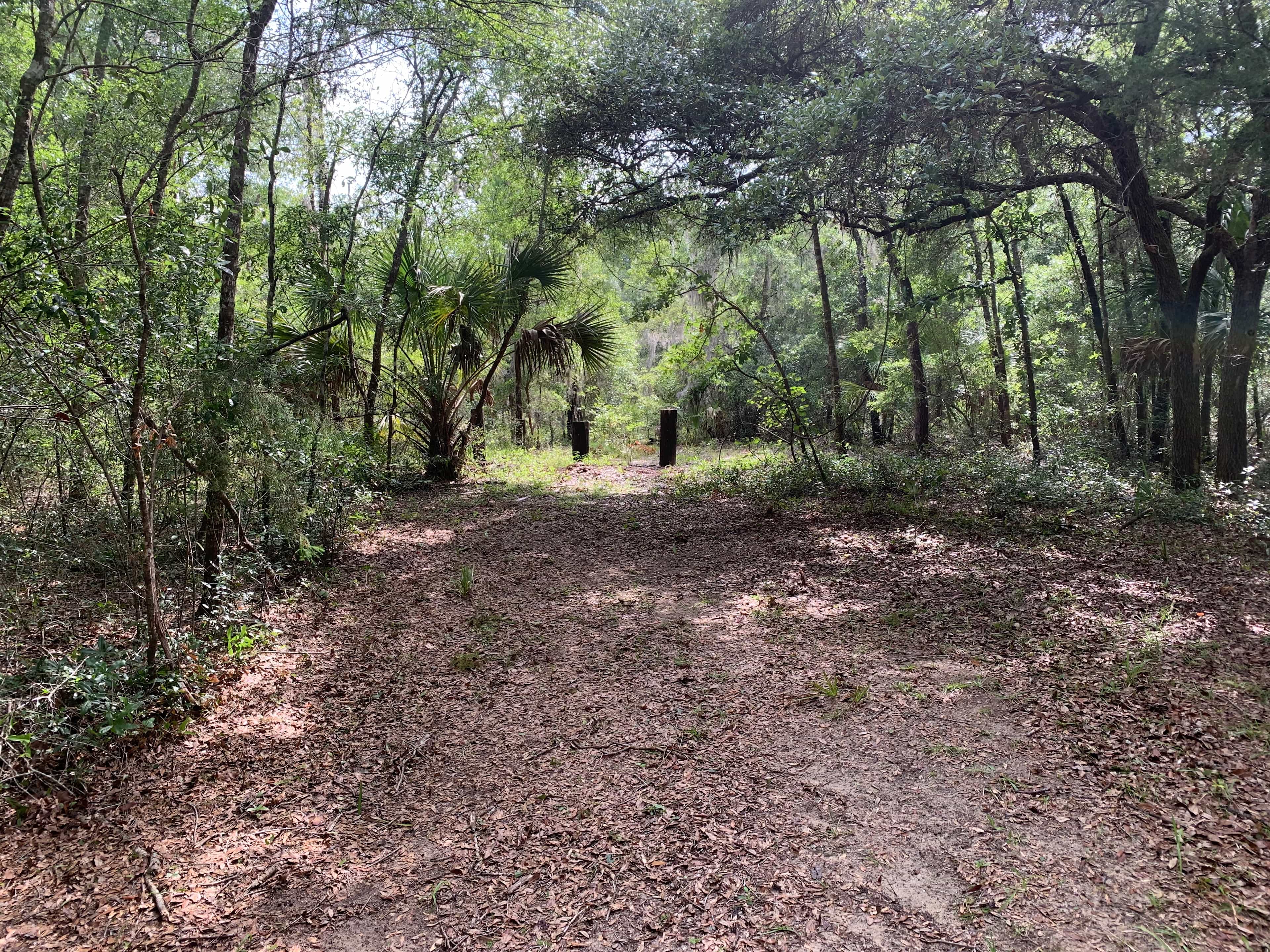 Steinhatchee Hills