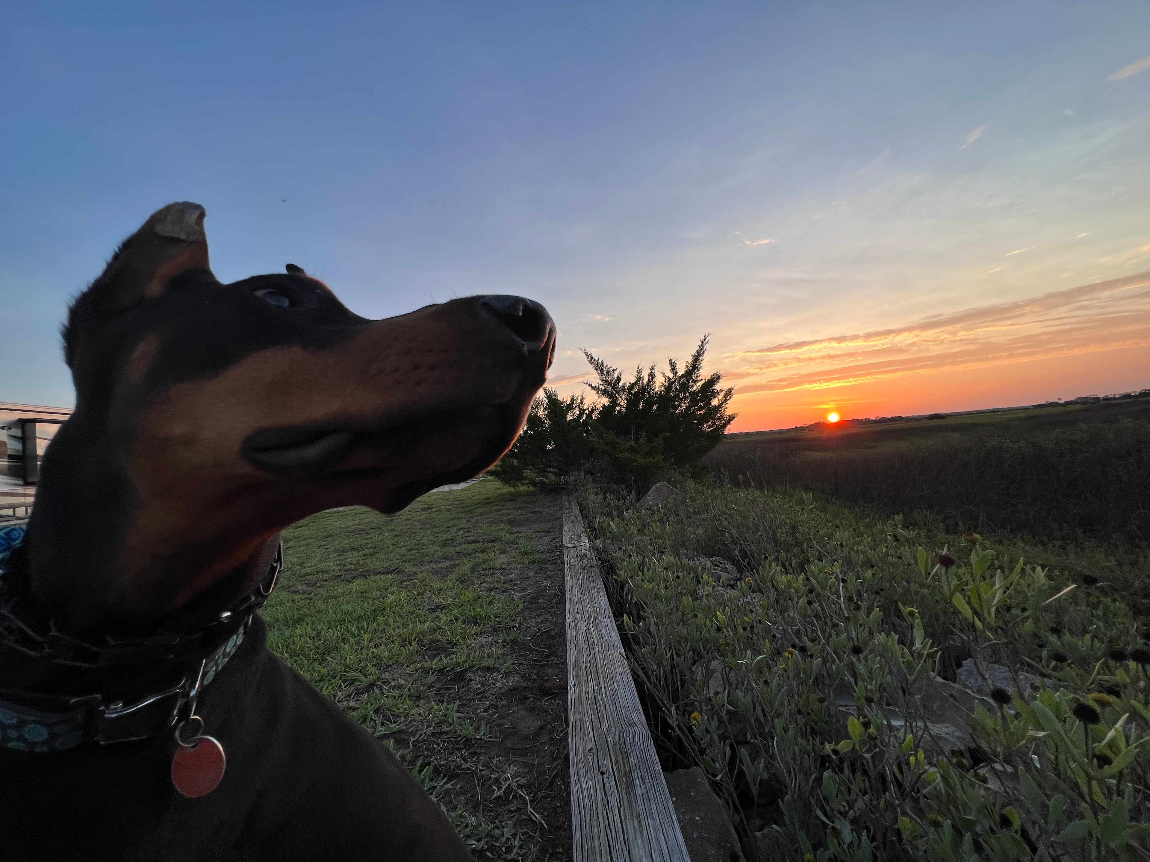 Sunset