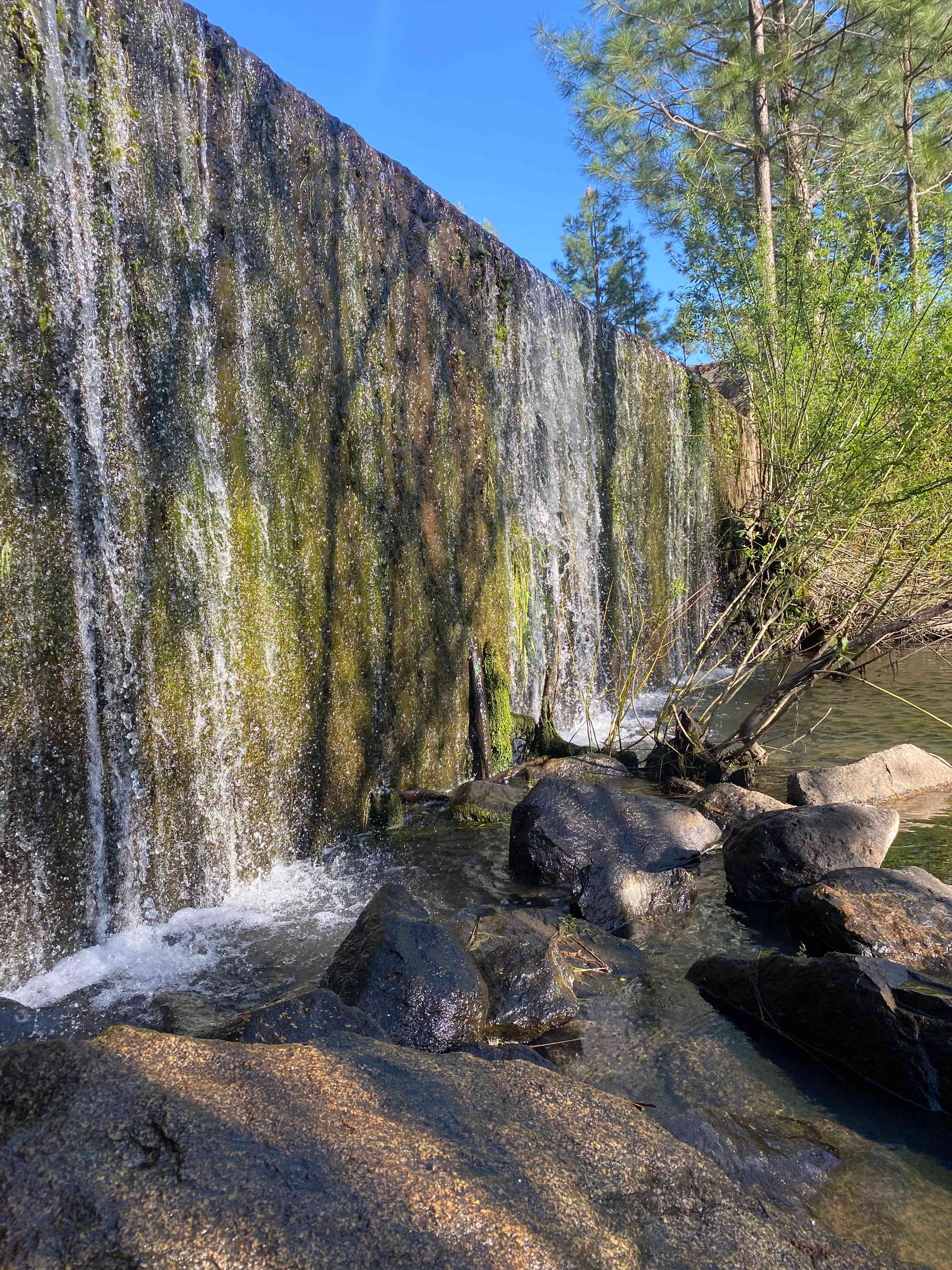Oregon House Falls