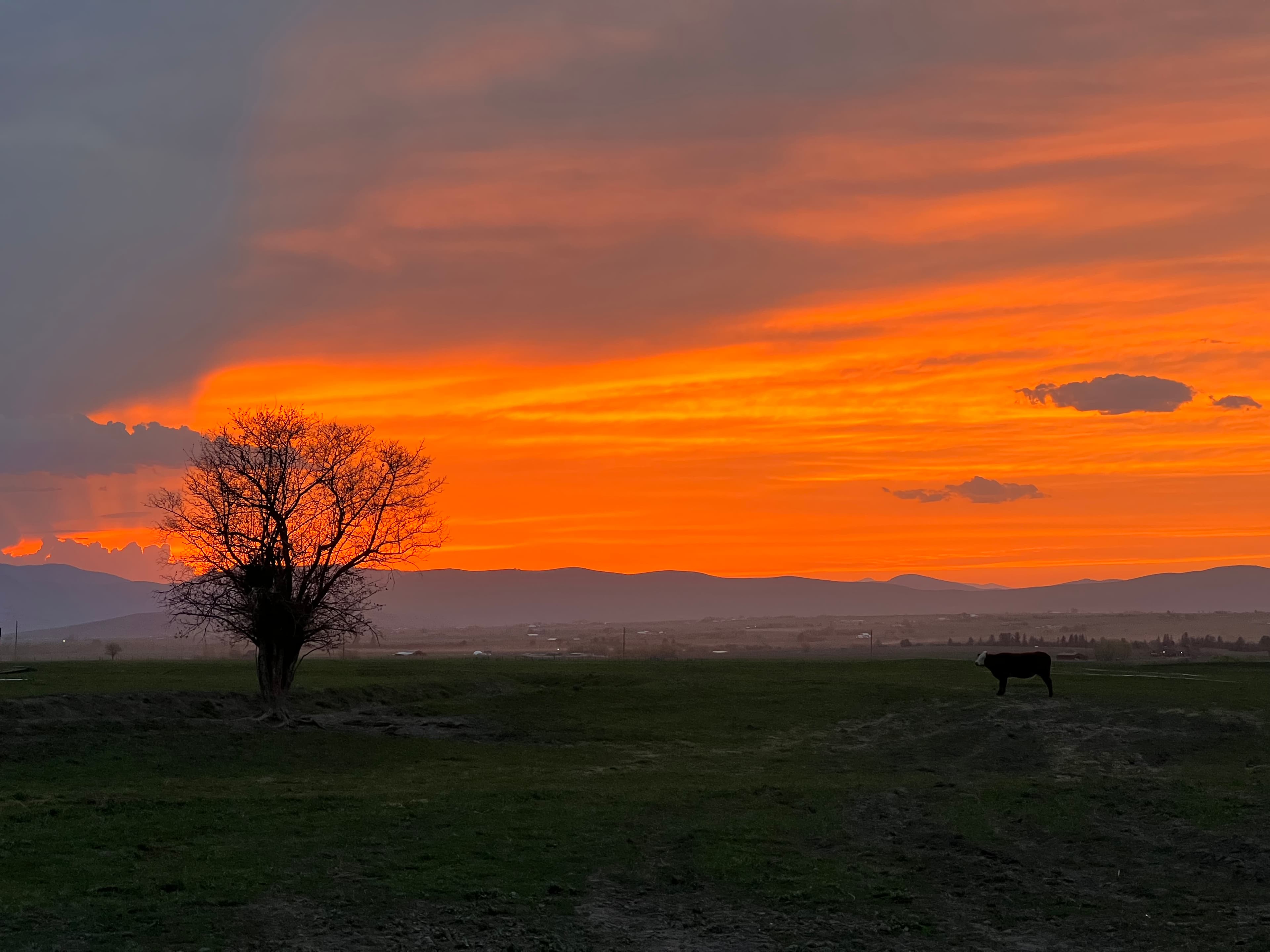Moran Ranch