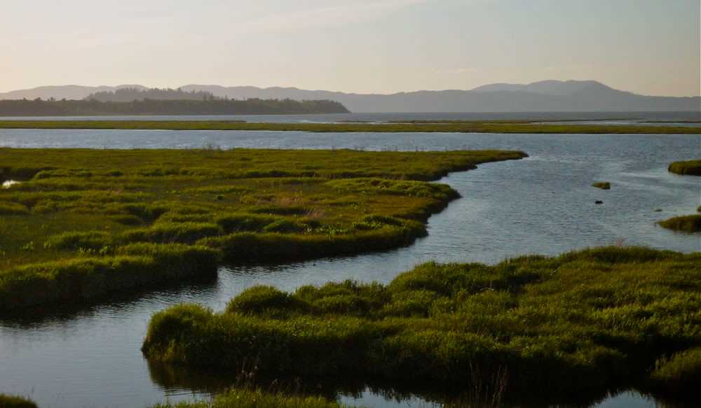 Columbia National Wildlife Refuge