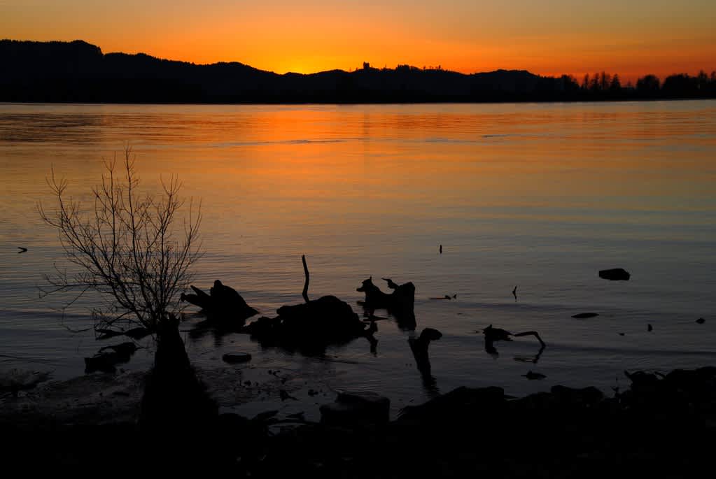 Julia Butler Hansen Refuge for the Columbian White-Tailed Deer