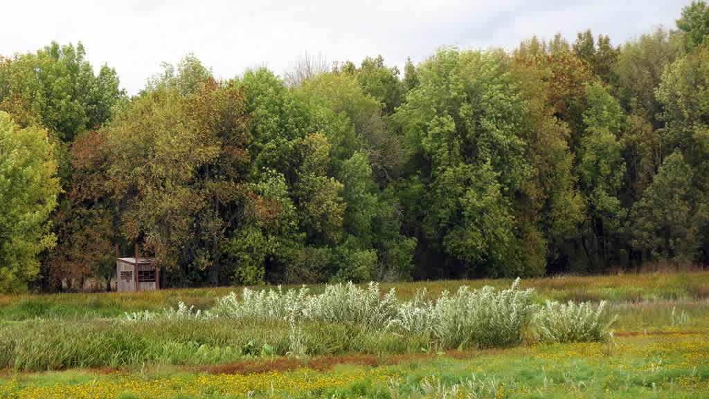 Ridgefield National Wildlife Refuge