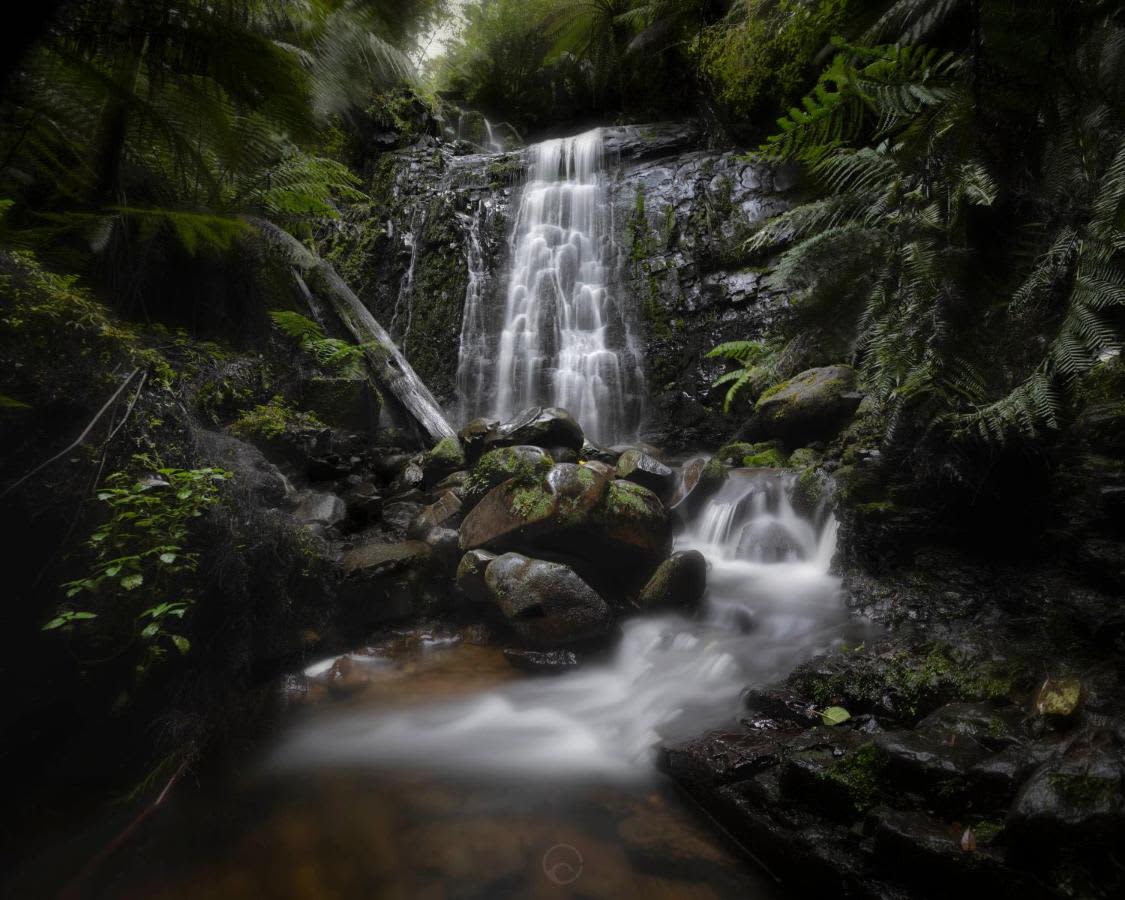 The Source, Otways