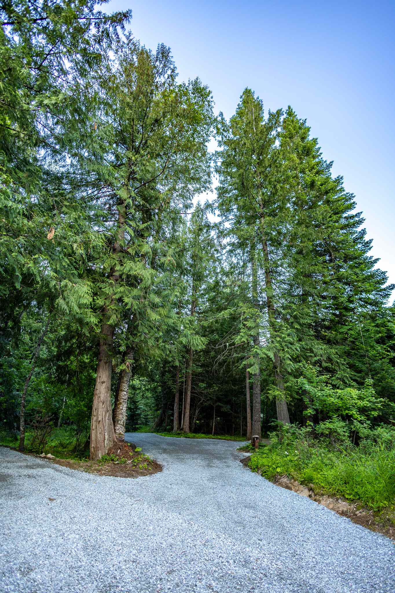 Turnipseed Creek Campsites