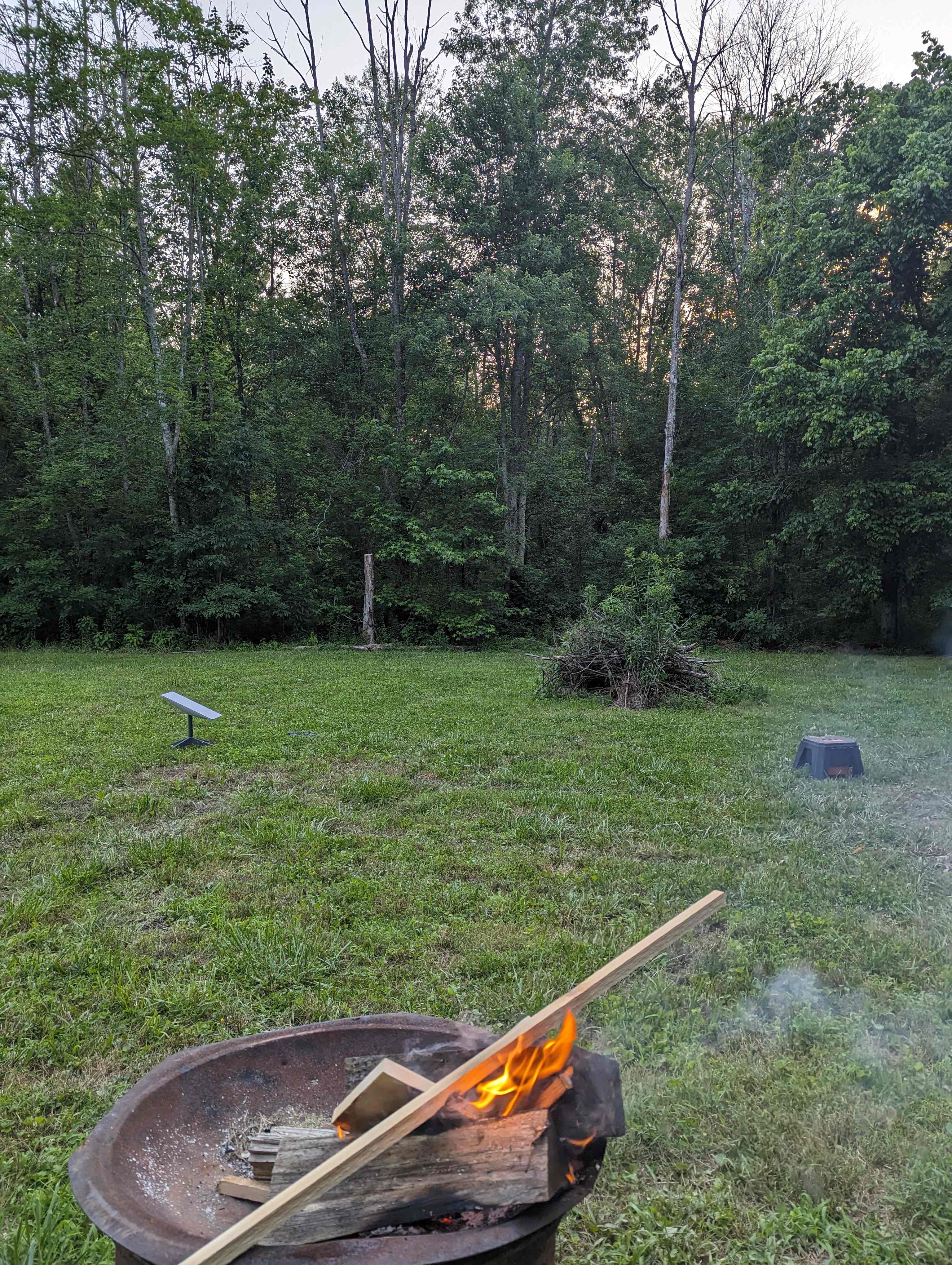 Variety- pond, field, shaded