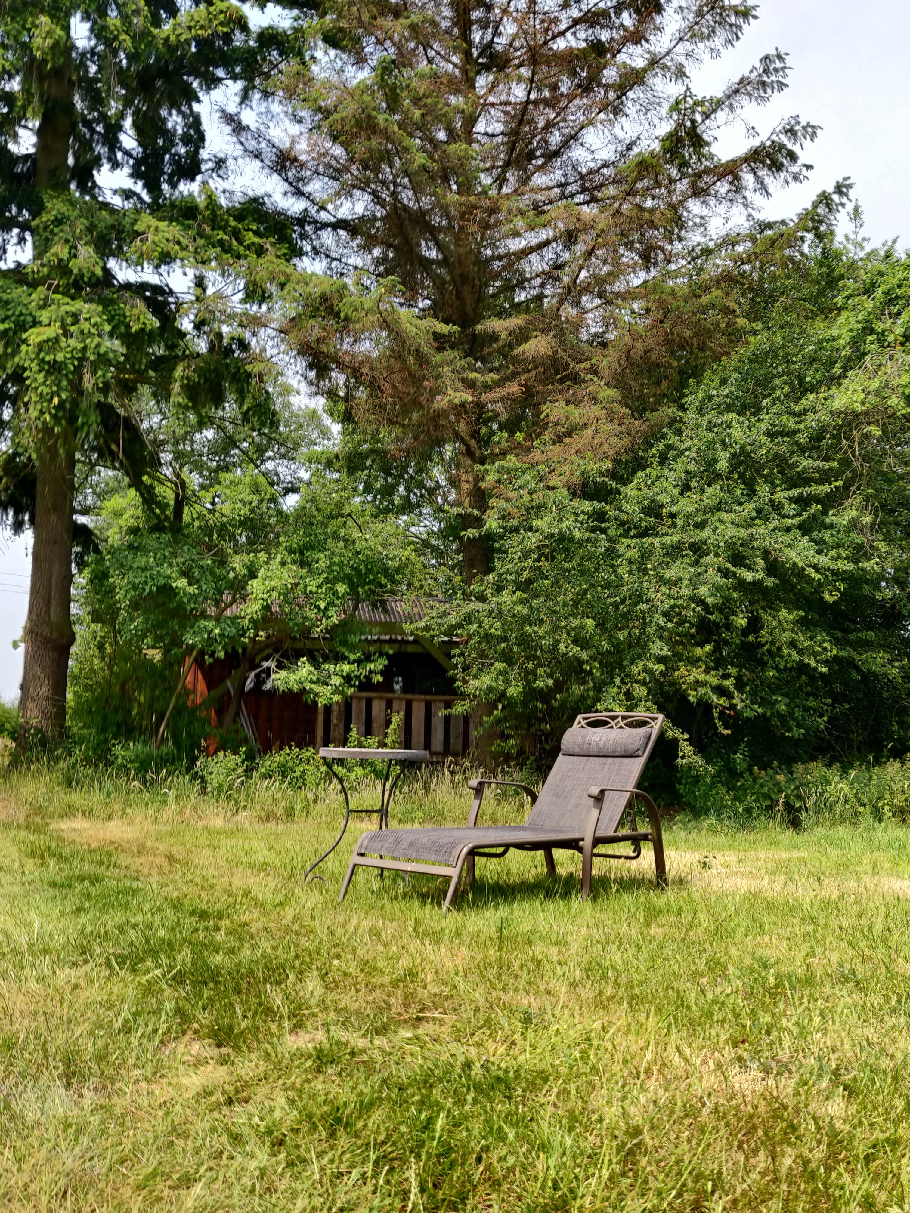 field