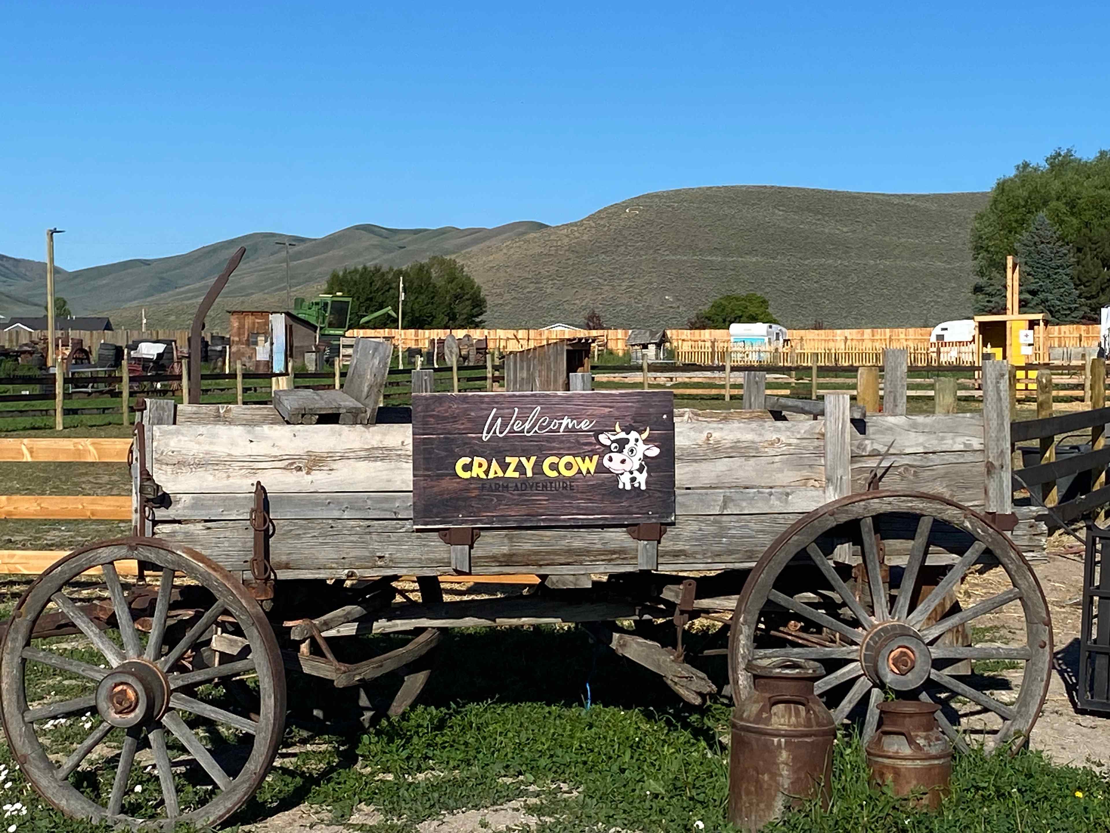 Crazy Cow Farm Adventures