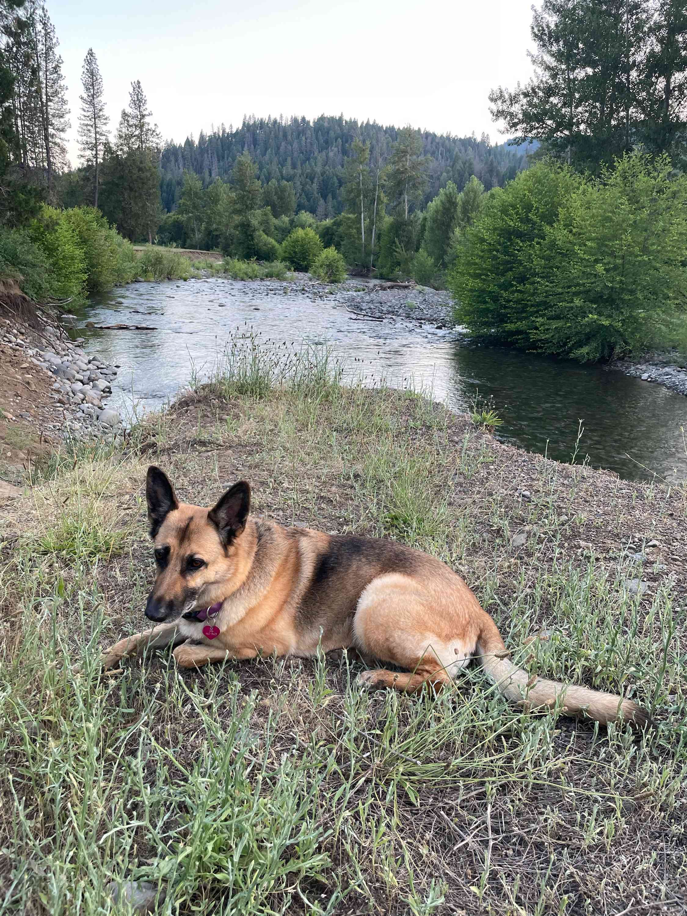 Kosk Creek Campgrounds