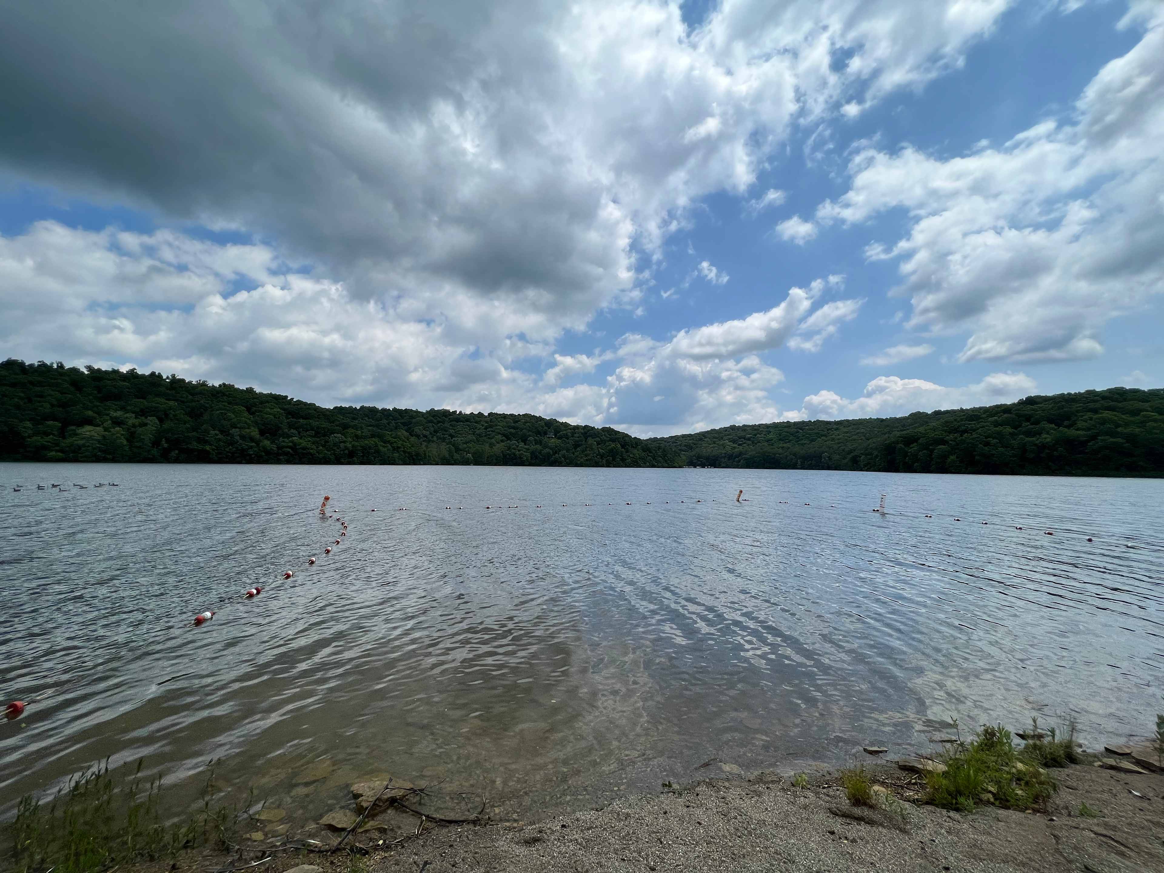 Private swimming 