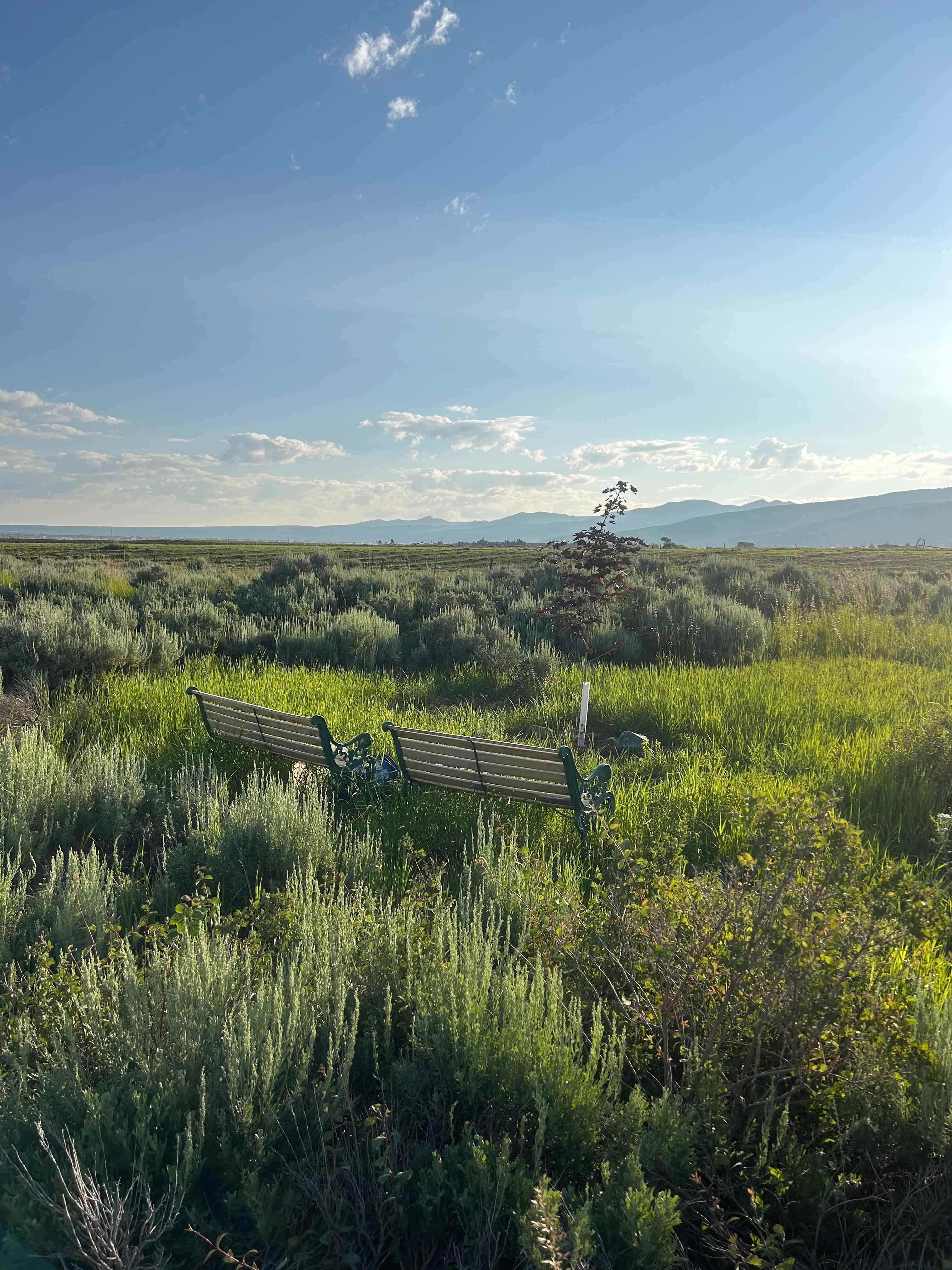 Darby Canyon View