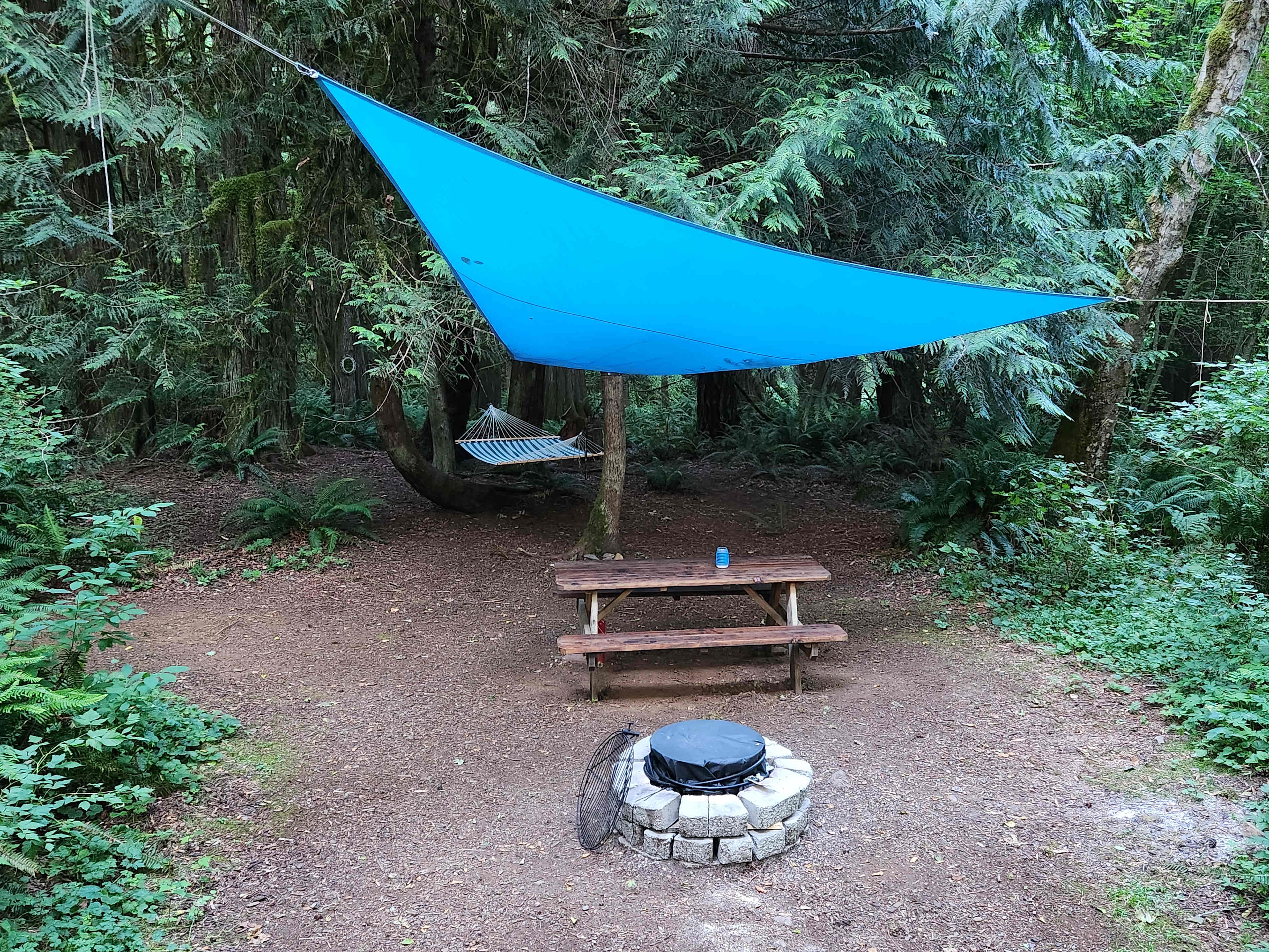 Site #1
