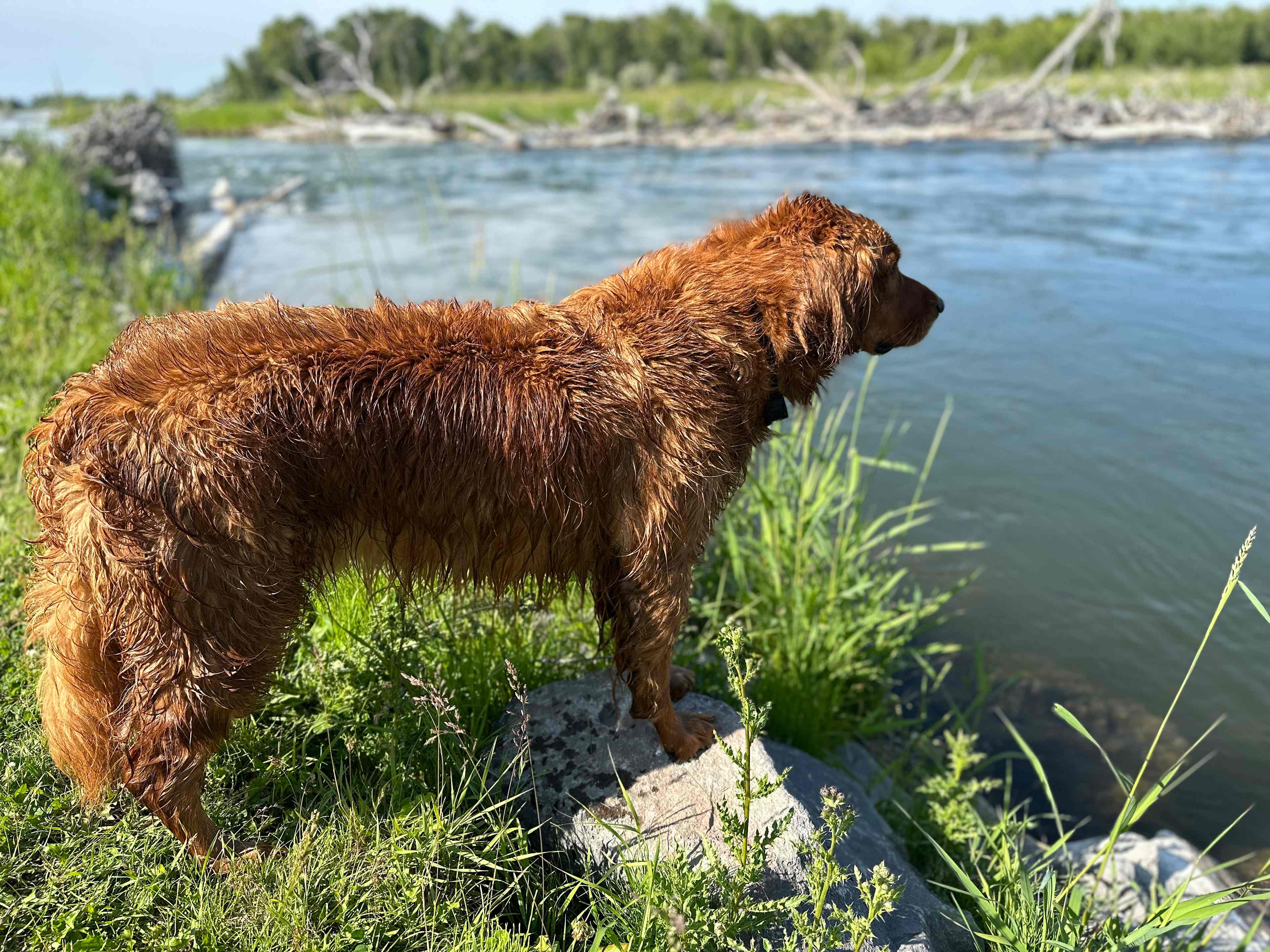 Riverside Retreat-Rigby