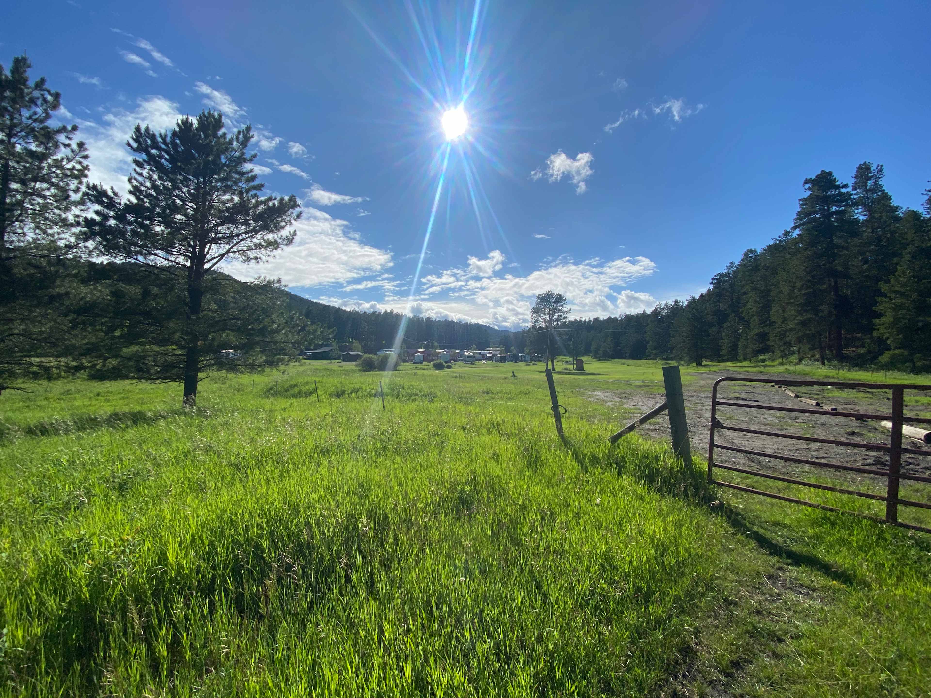 Horse Creek Resort RV Sites