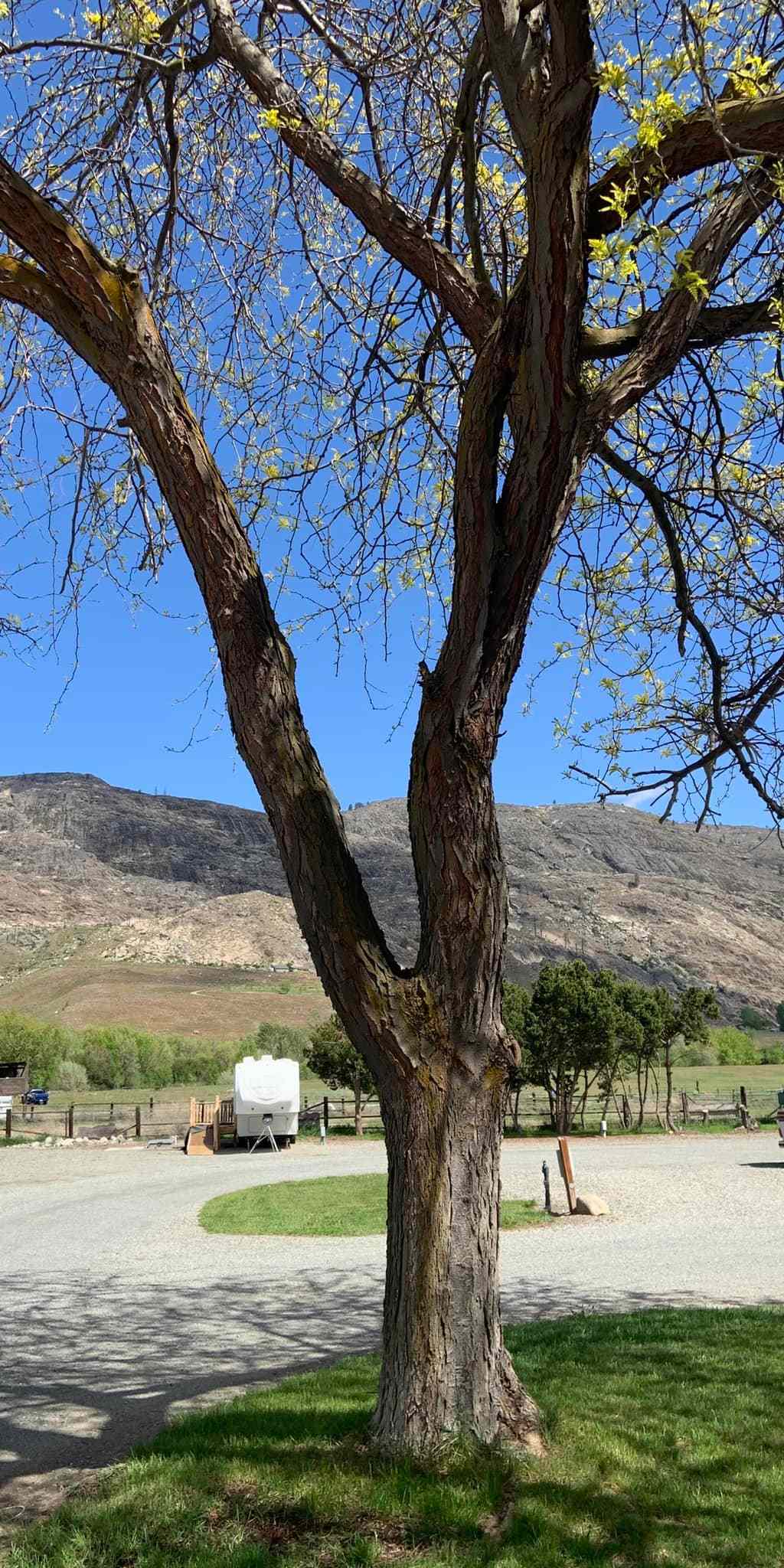 Margie's Riverside RV Park