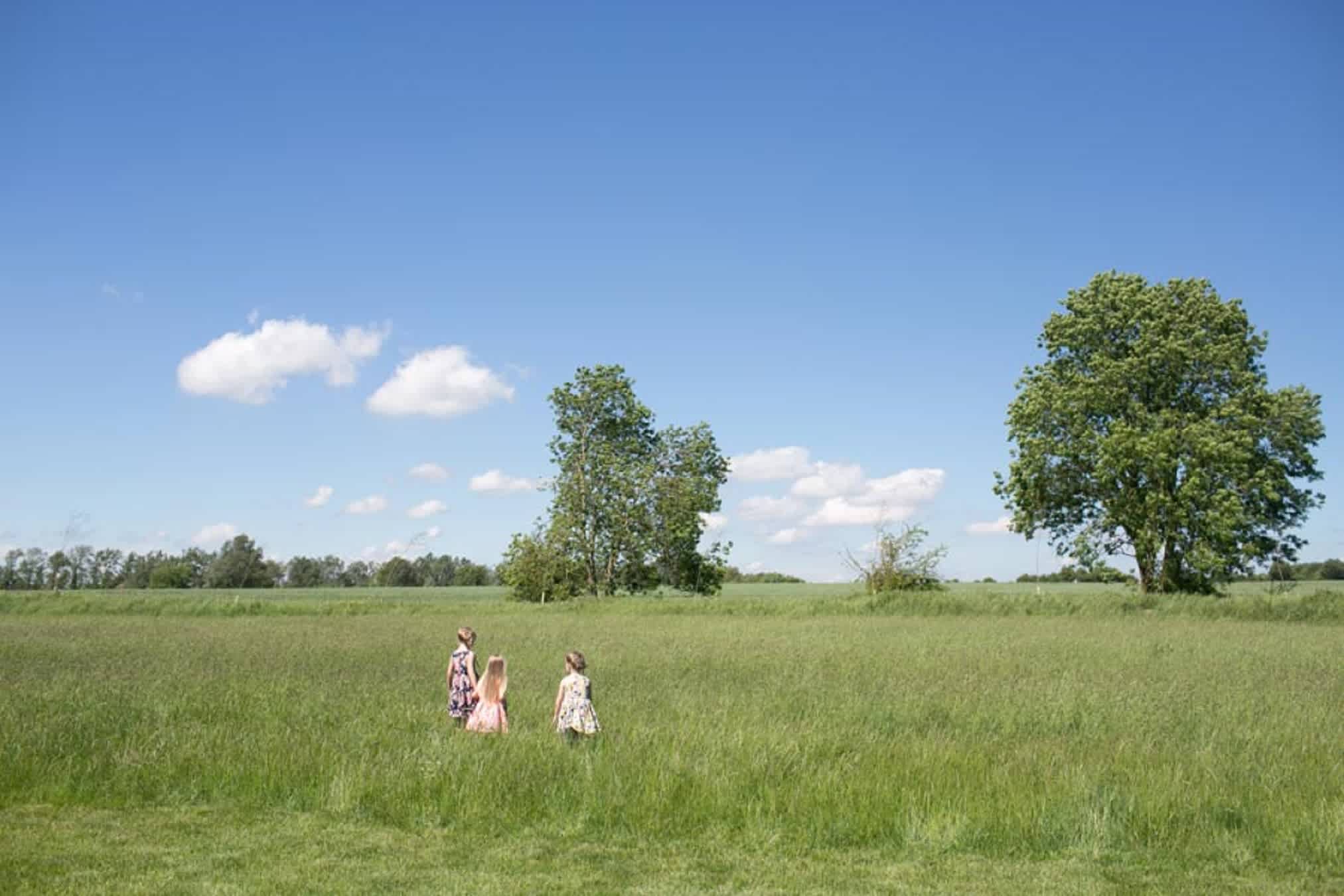 The  Meadow @ Waples Mill