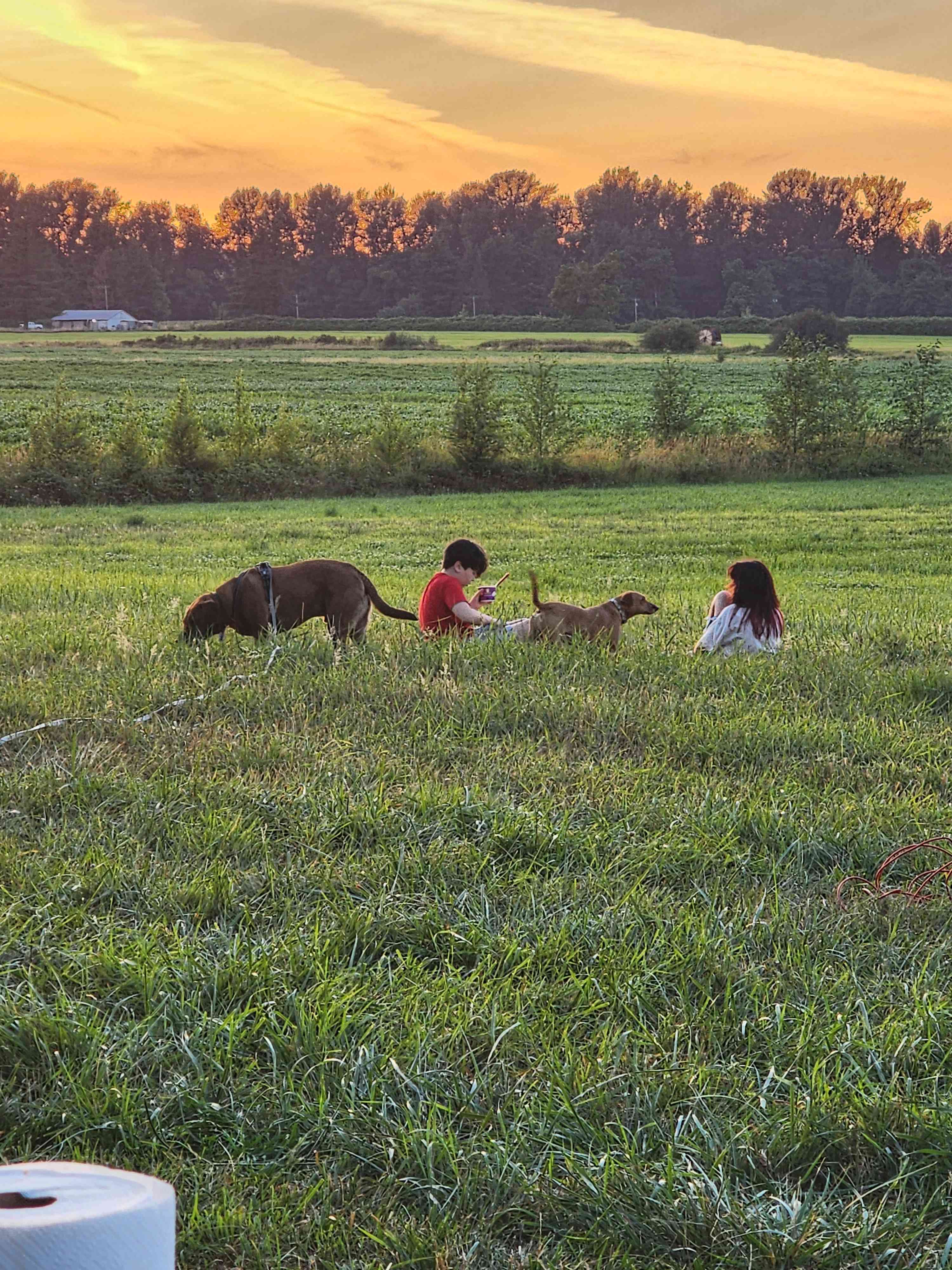 June Bud Farms