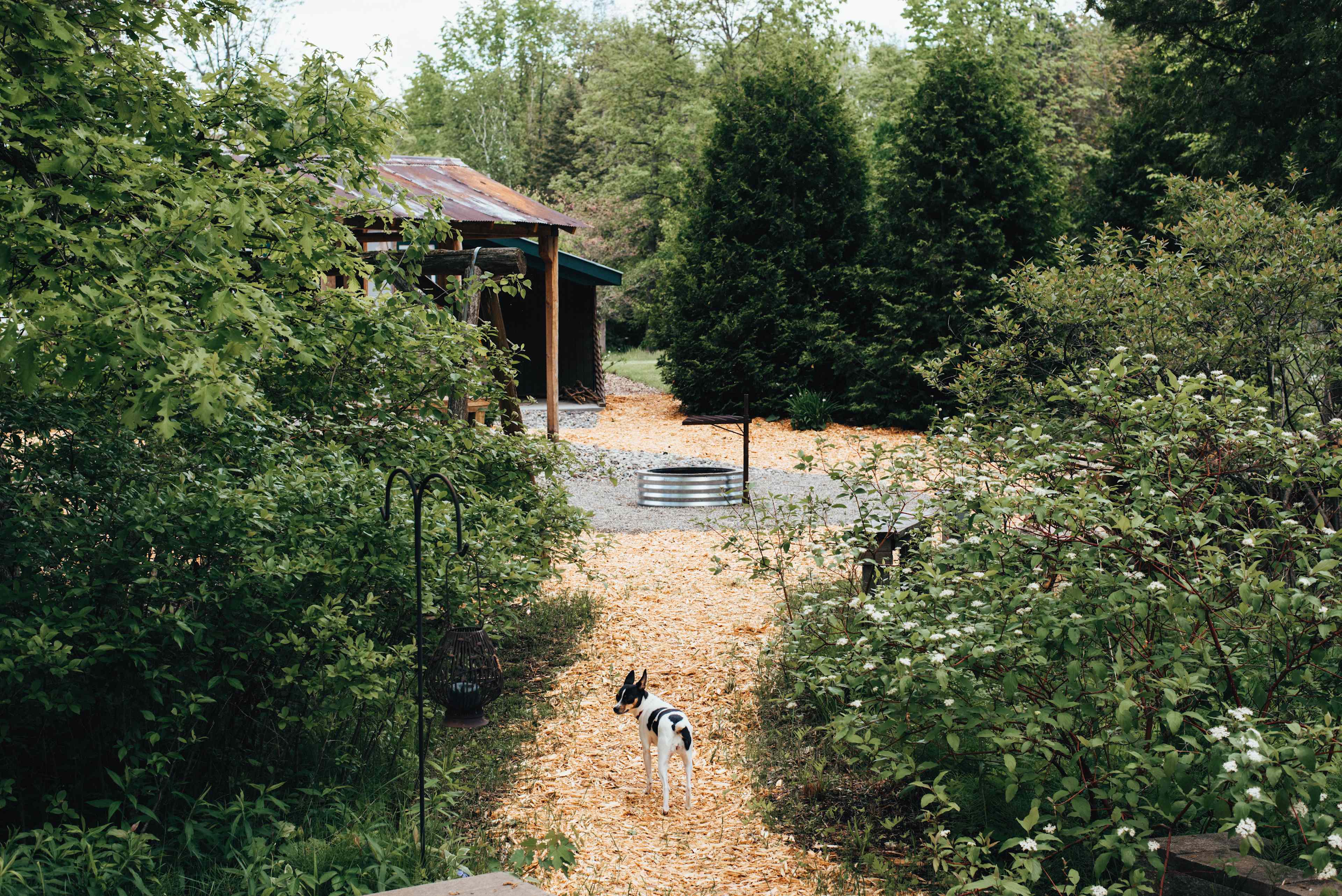 The path from your camper or tent to the fire ring, picnic table, toilets, and swing. 