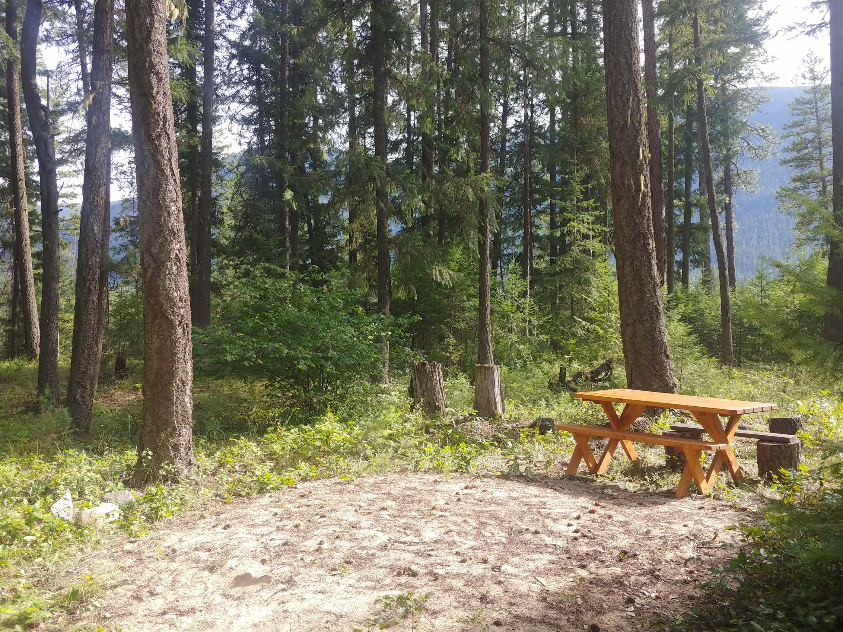 Tent Site 12