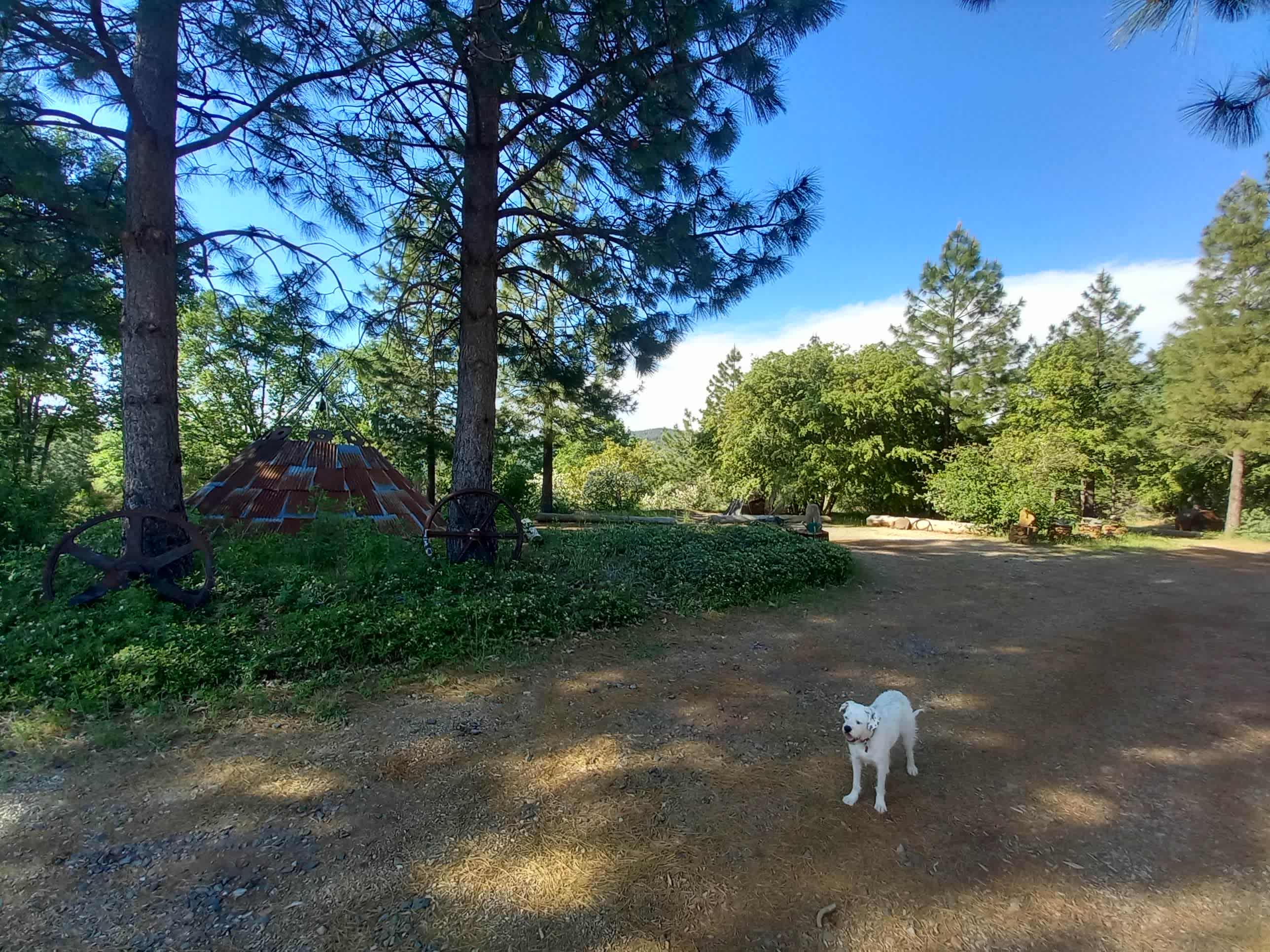 Sierra Circles Sculpture Garden