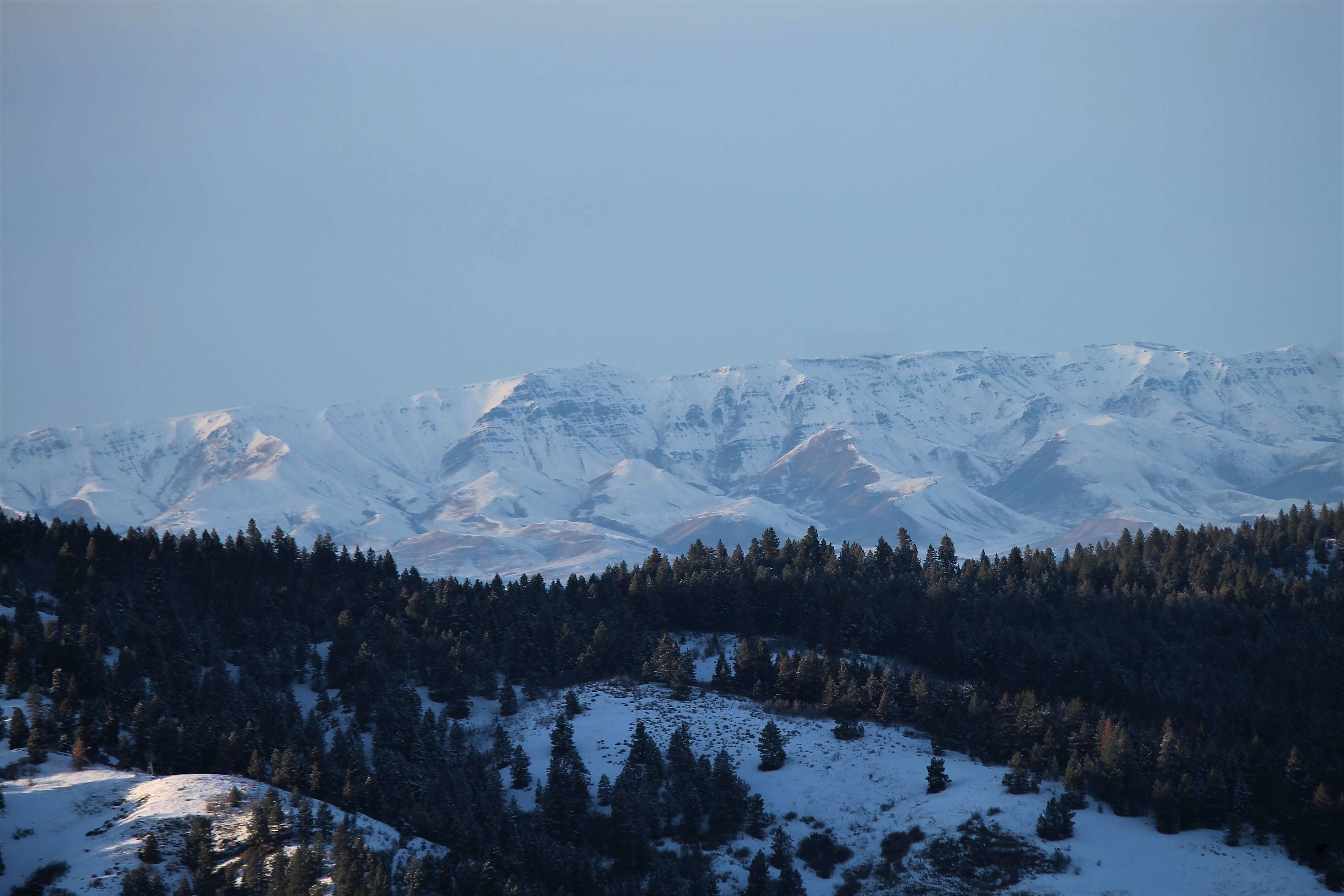 Bogus Basin