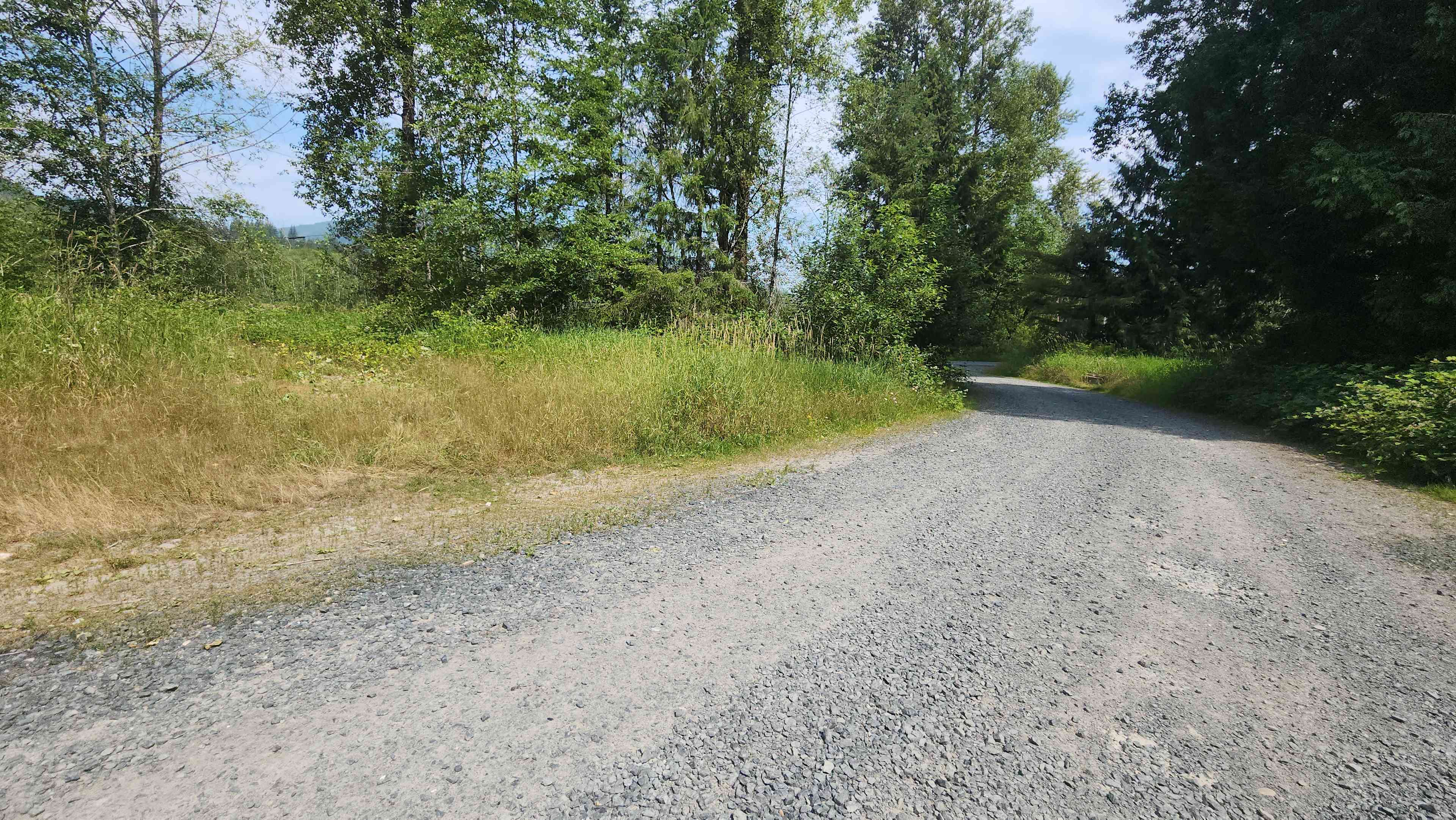 Wickersham Forest