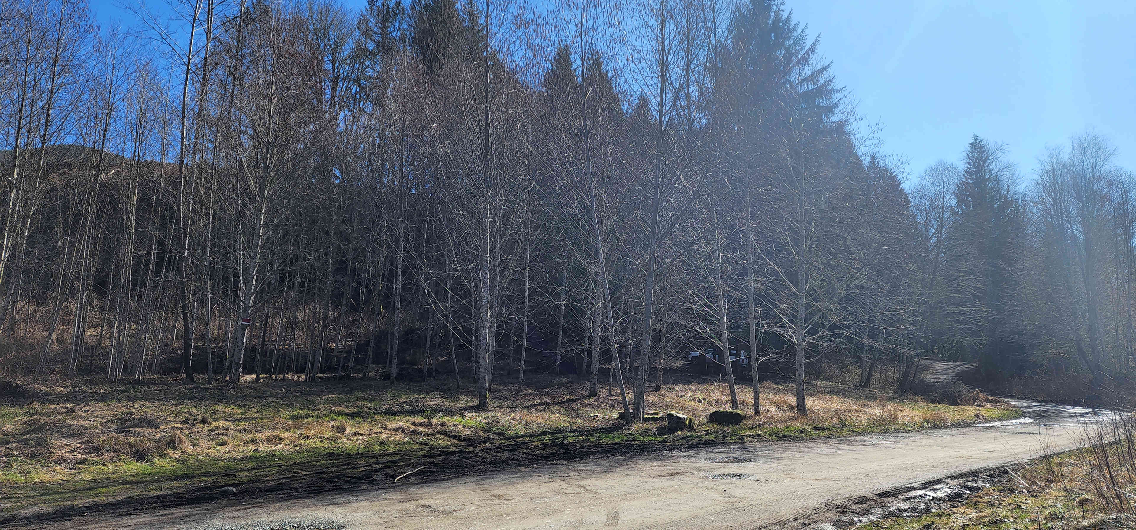 Wickersham Forest