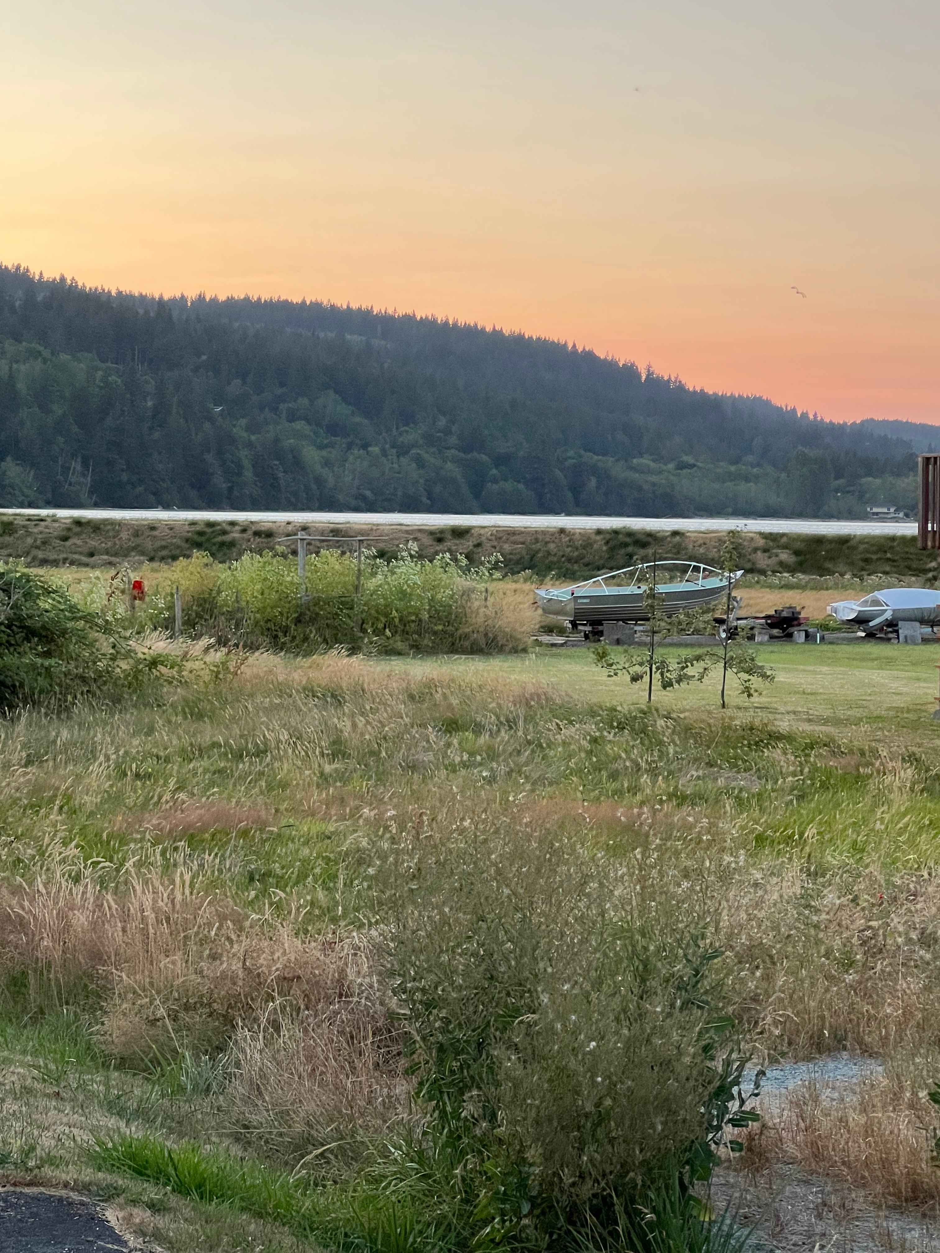 Lost On Camano Island