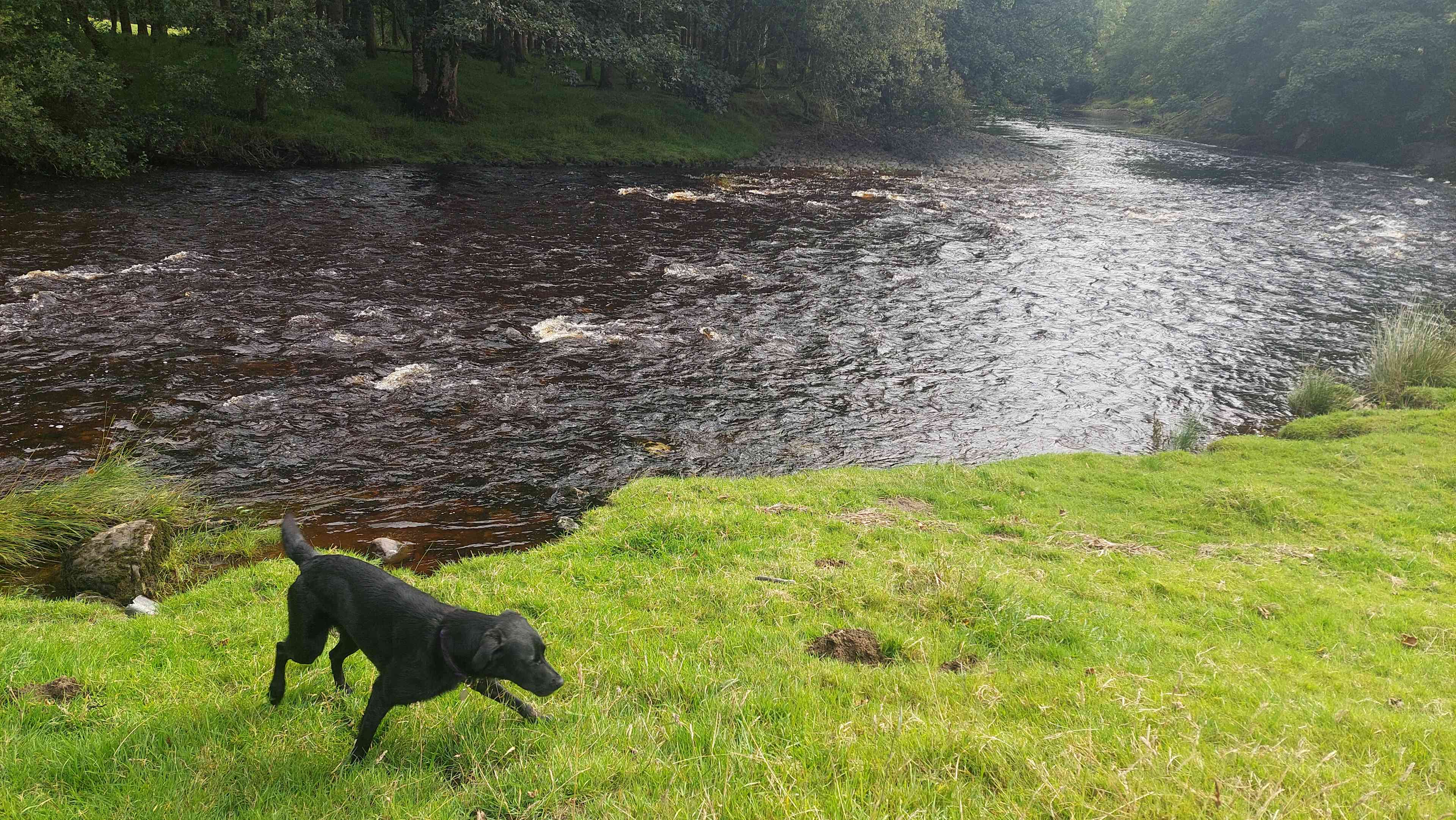 Gwersyllt Rhos y Gallt Campsite
