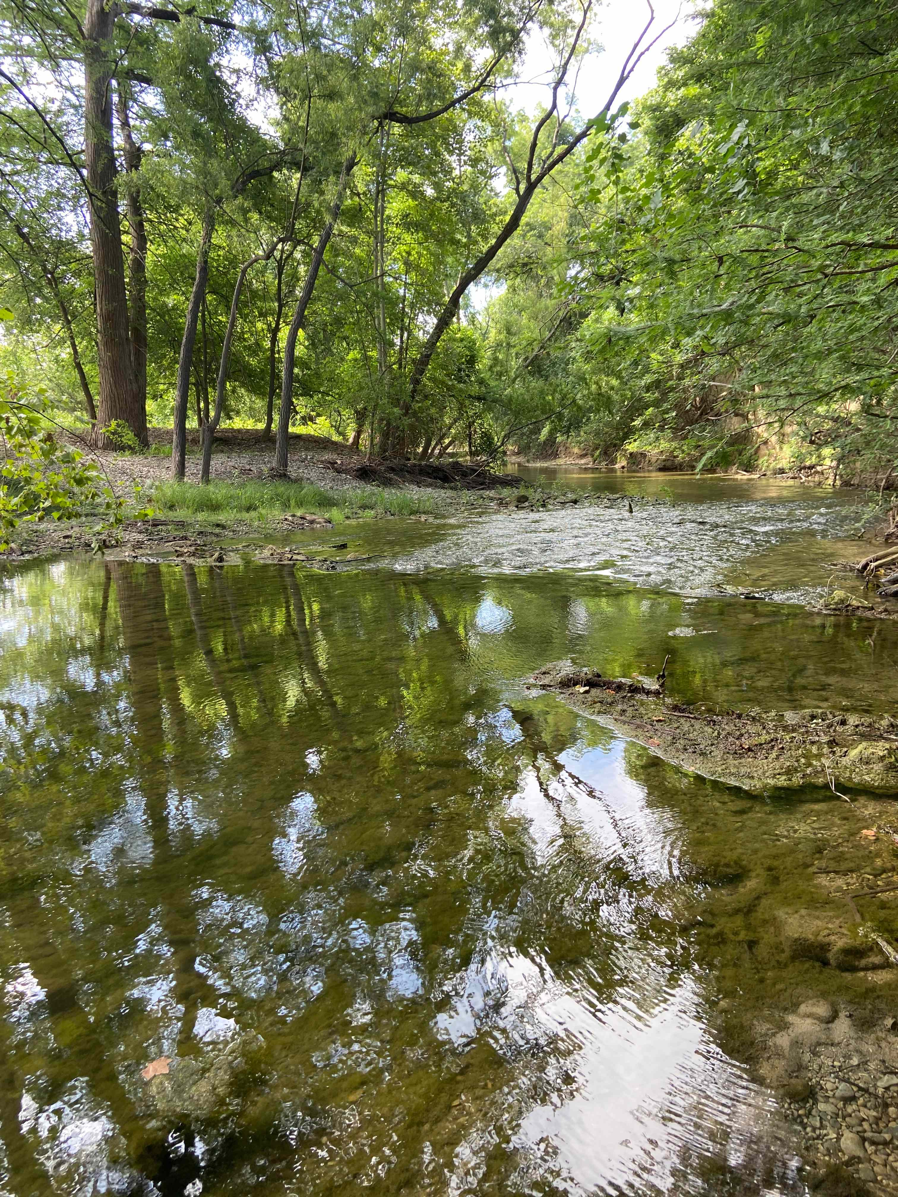 Medina River