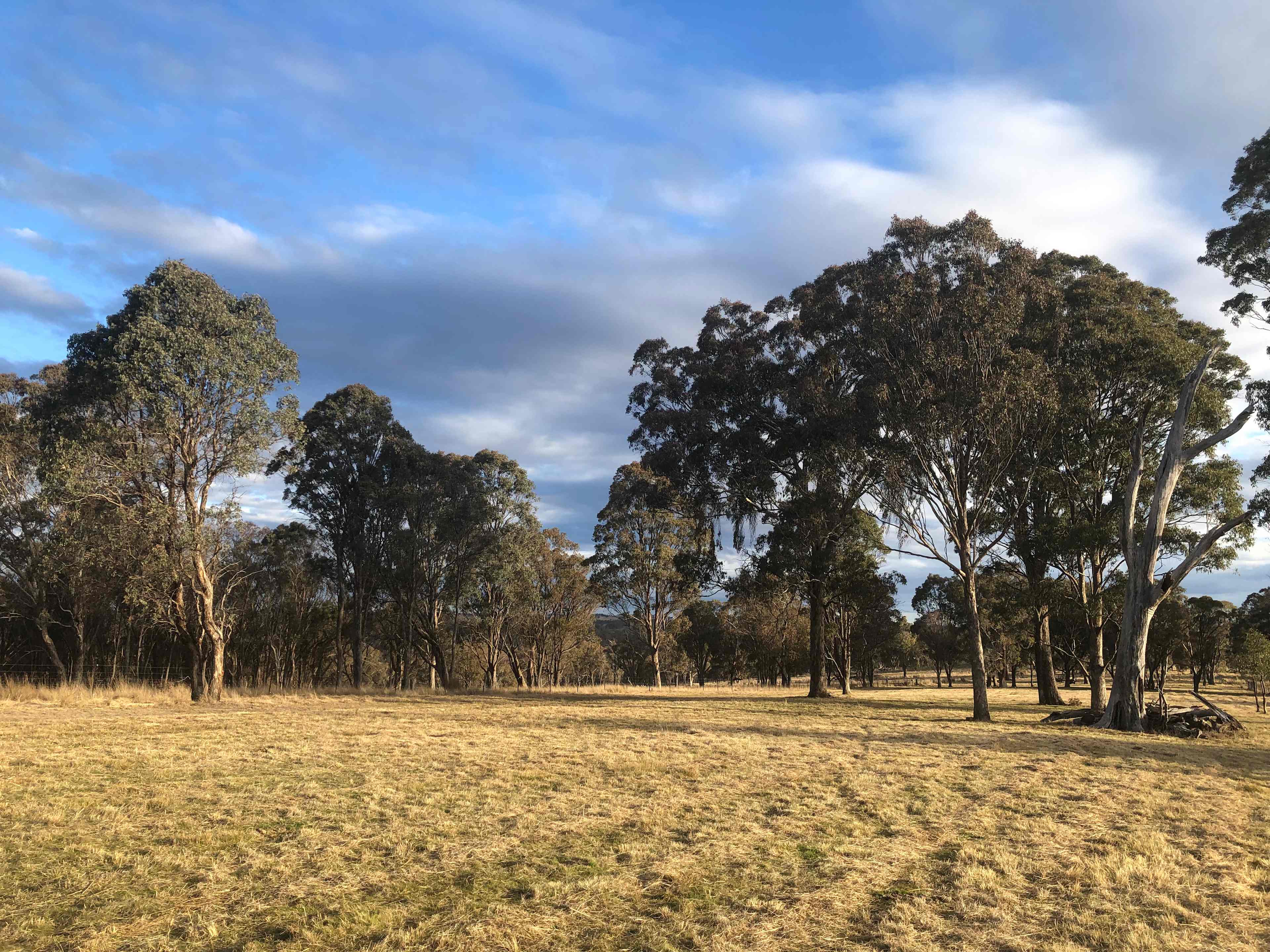 Bimbivale Caravan & Camp Sites