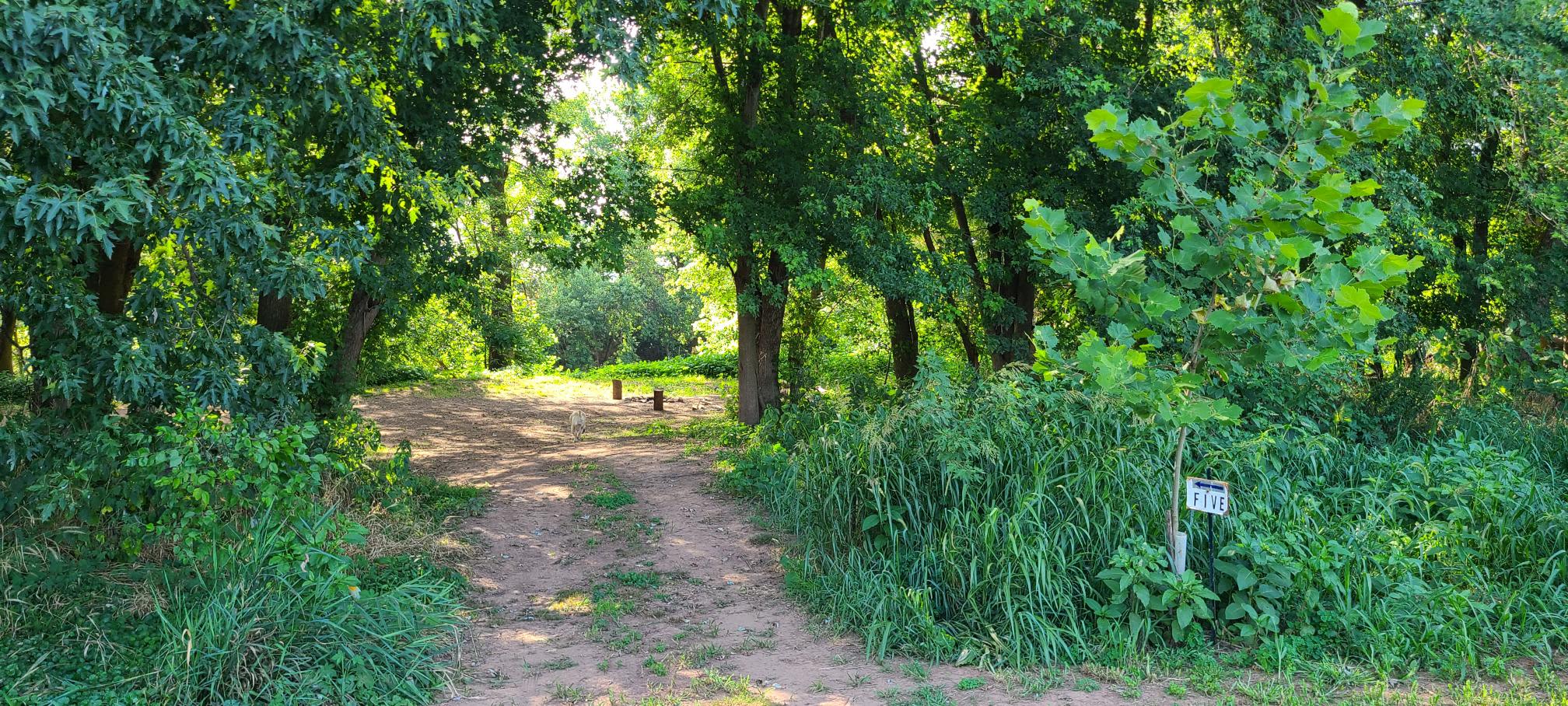 Riverside Farm by the Monocacy