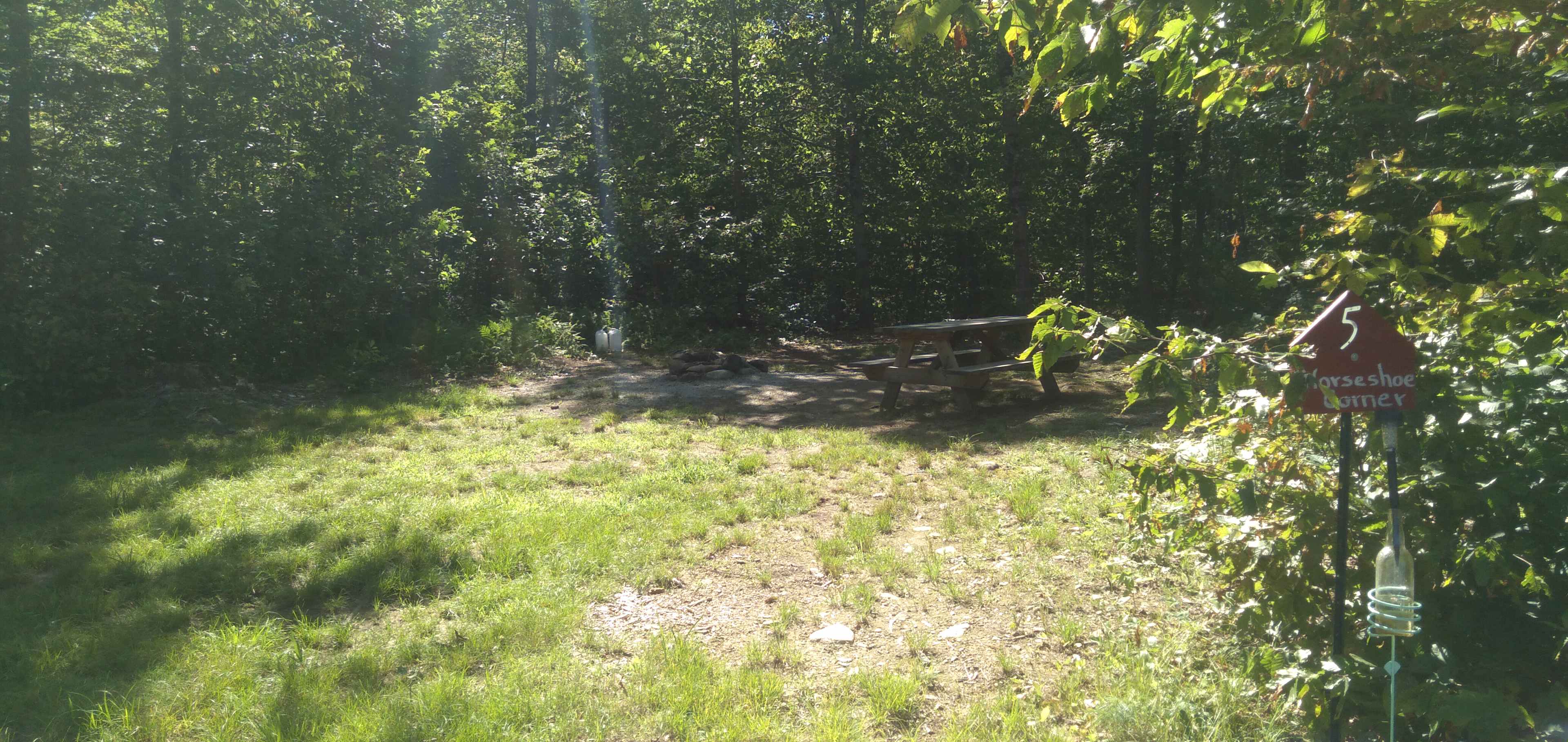 Someday Farm and Forest
