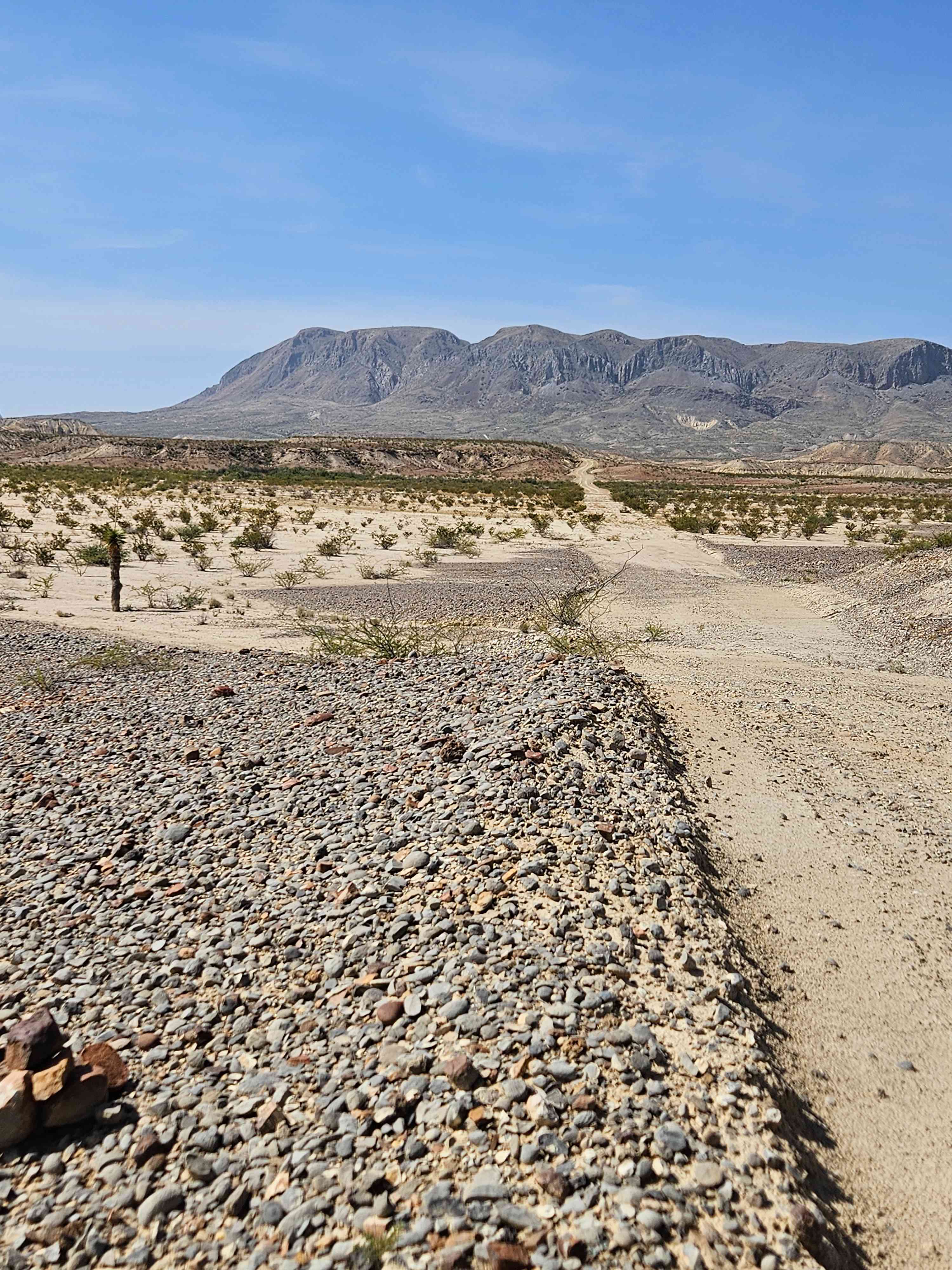 NoWhere Desert Paradise