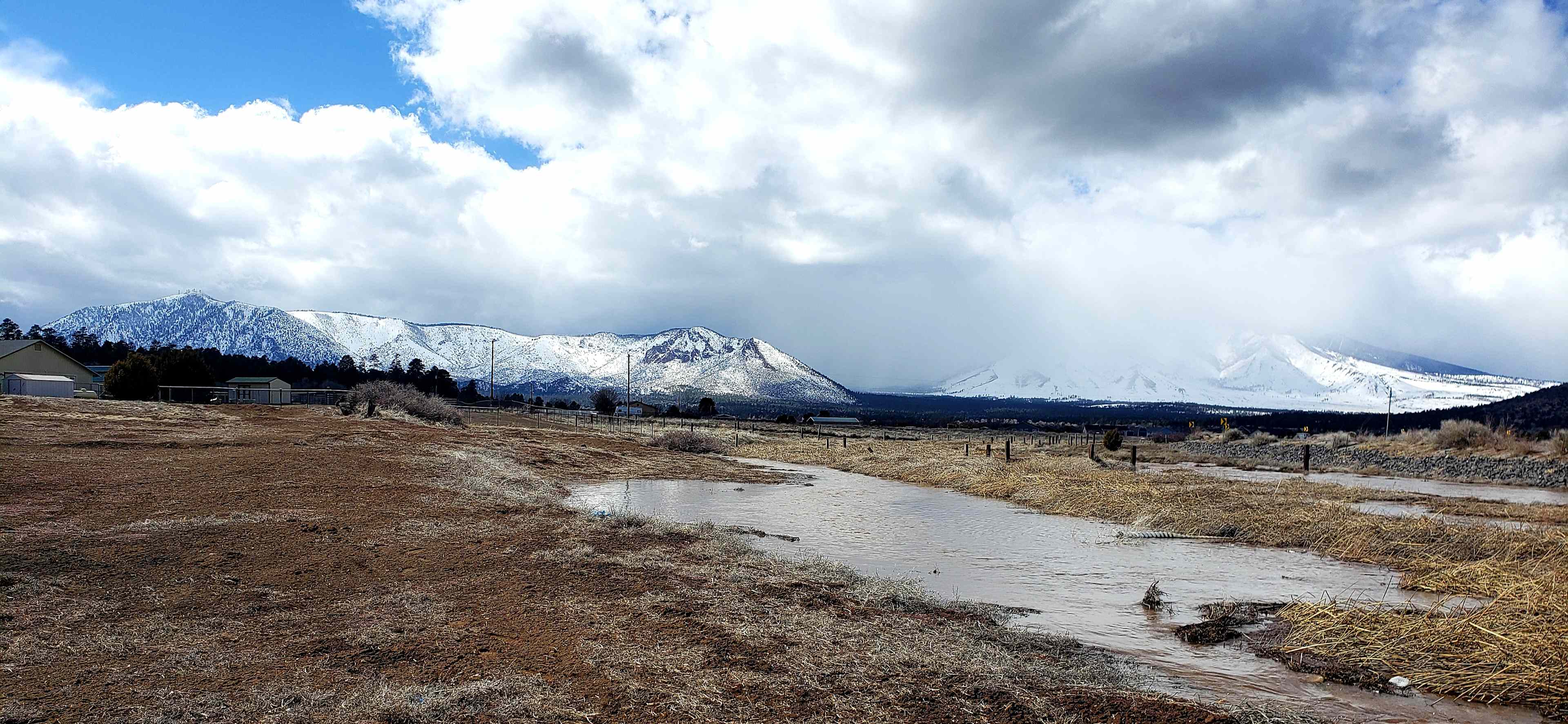 Back property view