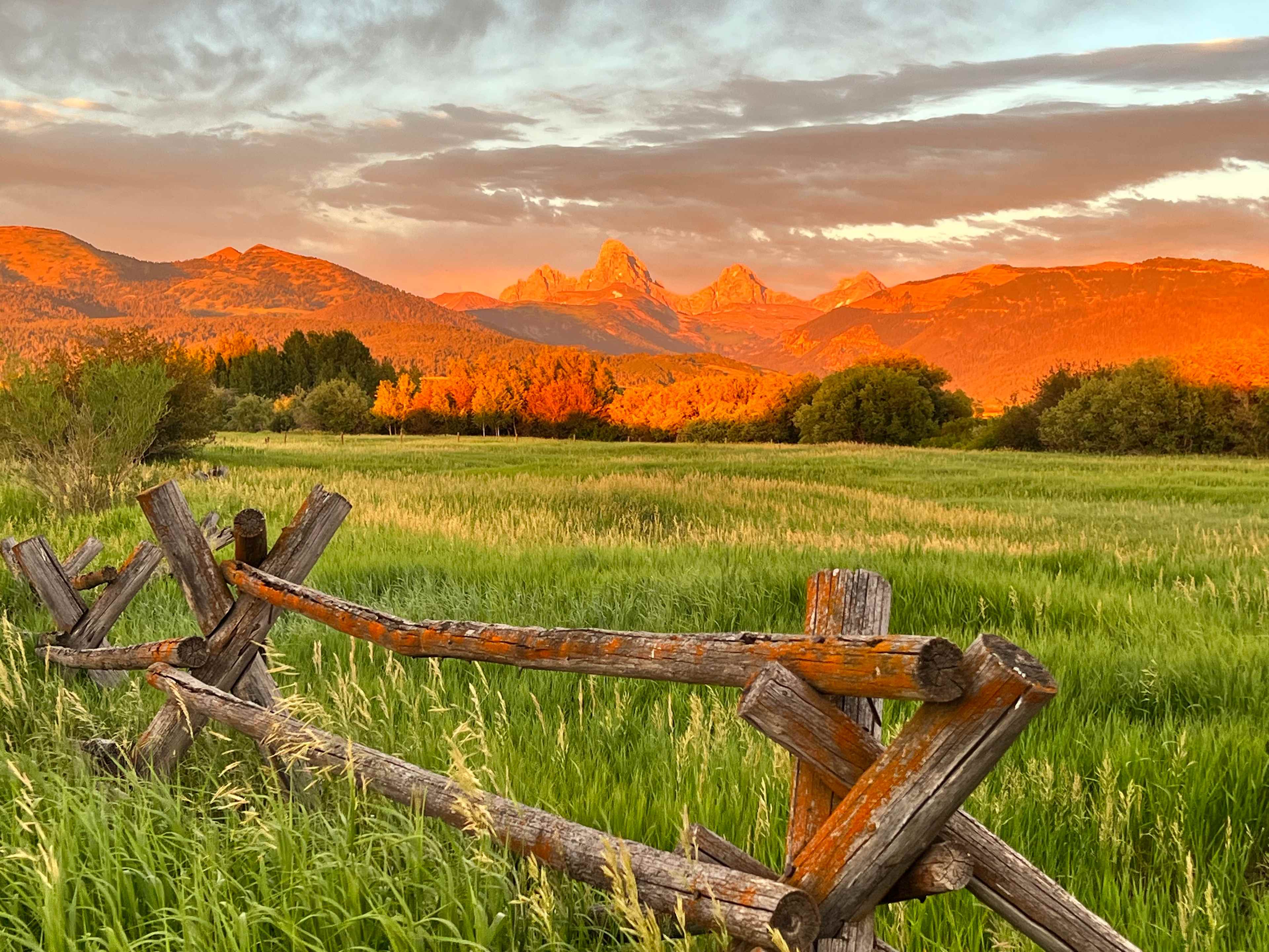 Ranchita Corazon of the Tetons