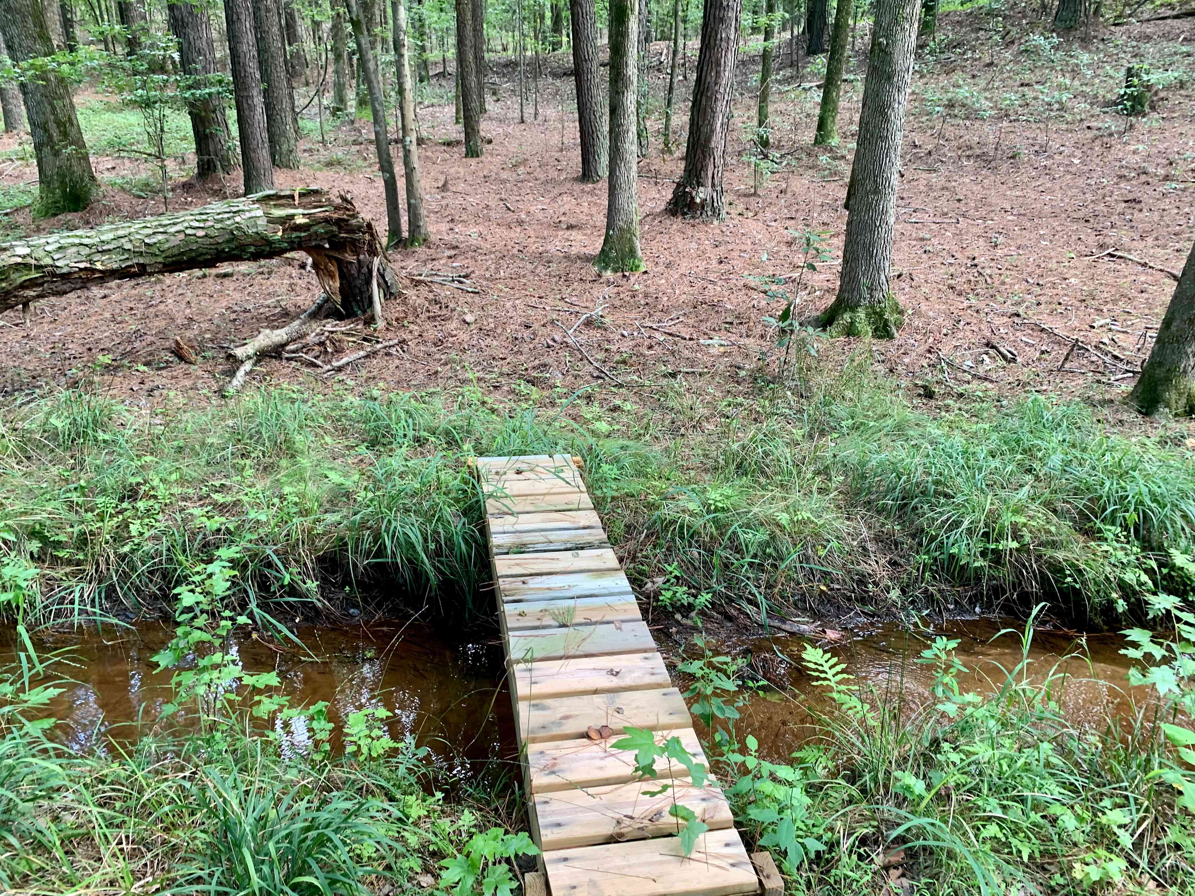 Hickory Hollow