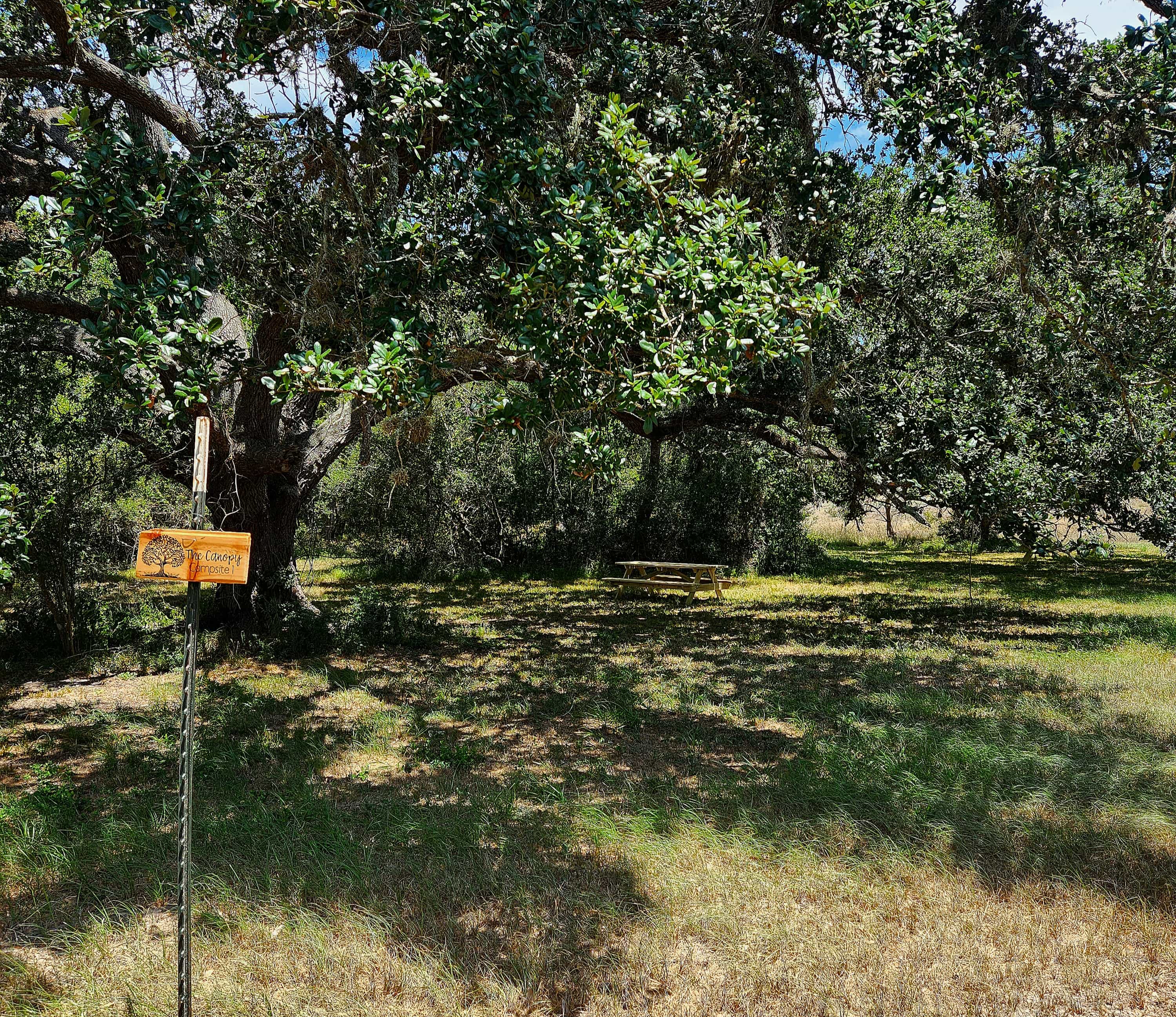 Broken Oak River Park